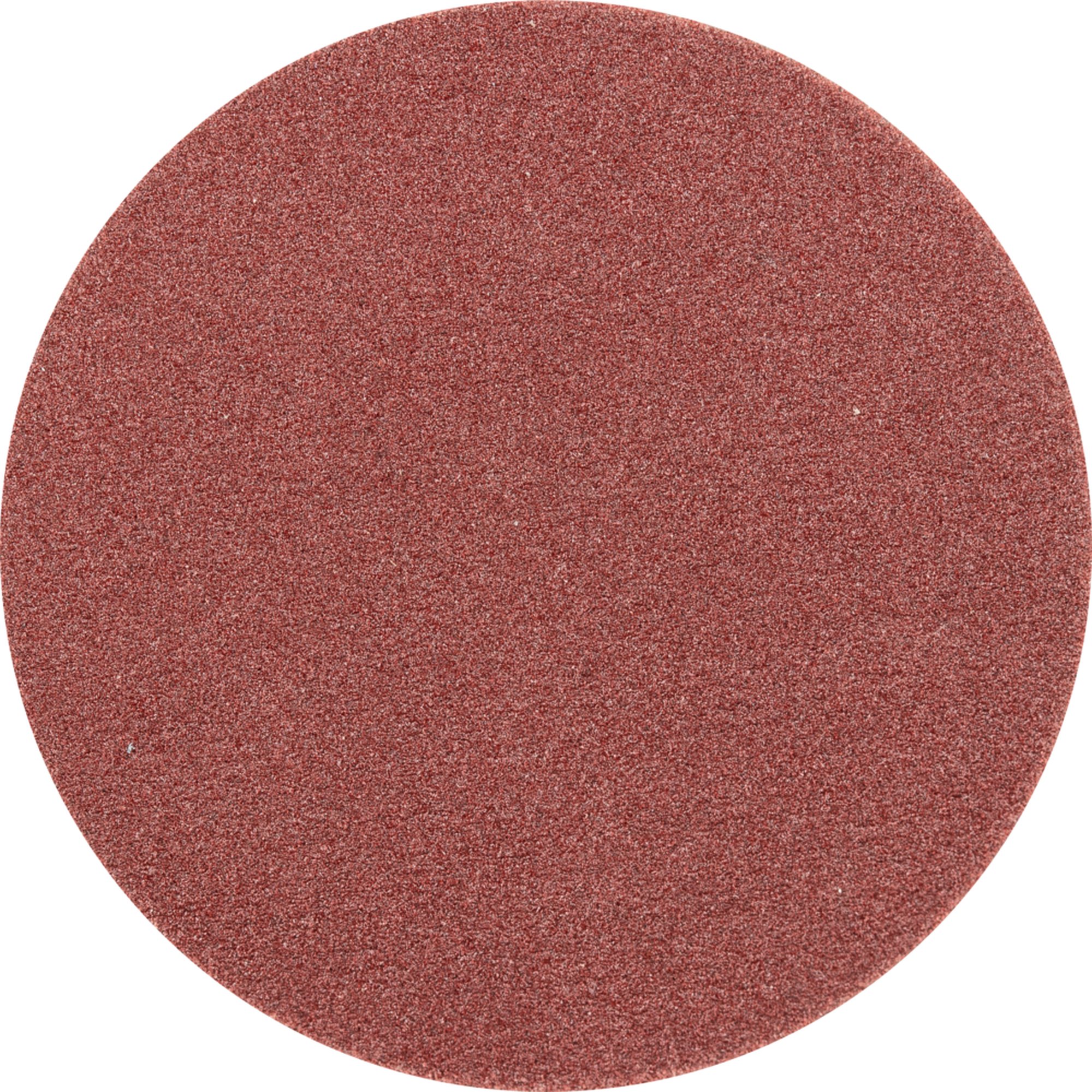 100 x Pferd Schleifscheibe Selbstklebendes Schleifblatt PSA 30 A 320