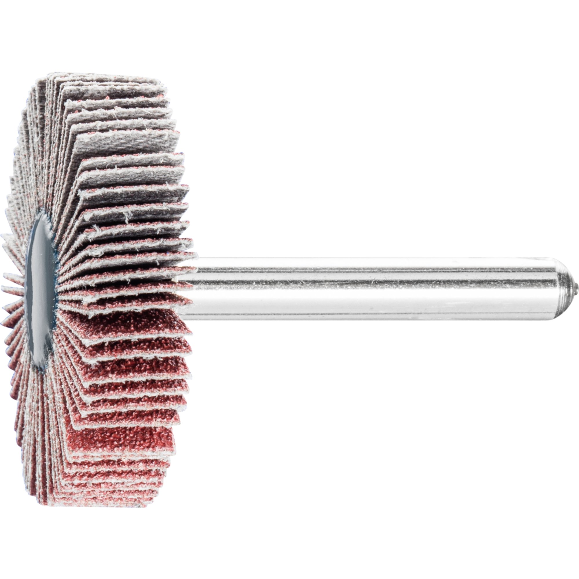 10 x PFERD Fächerschleifer F 4010/6 A 80