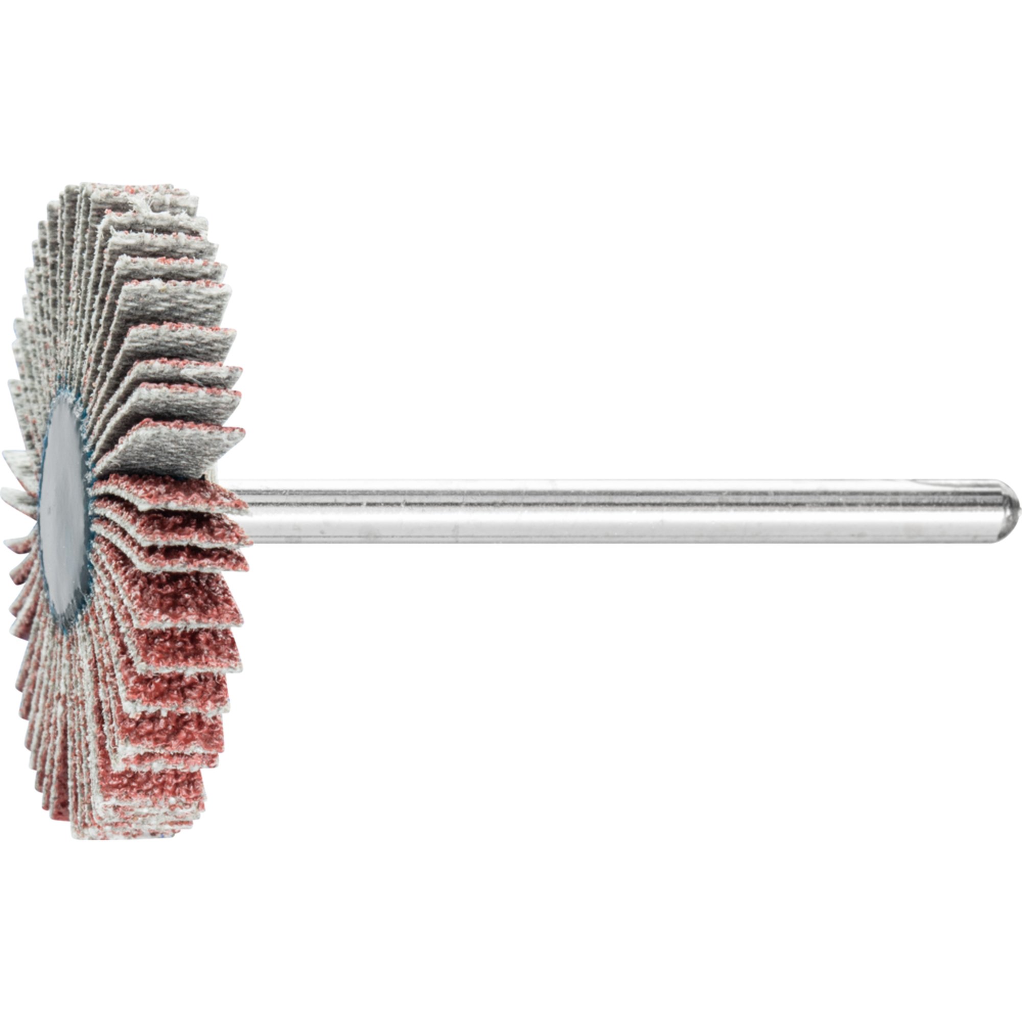 10 x PFERD Fächerschleifer F 3005/3 A 60