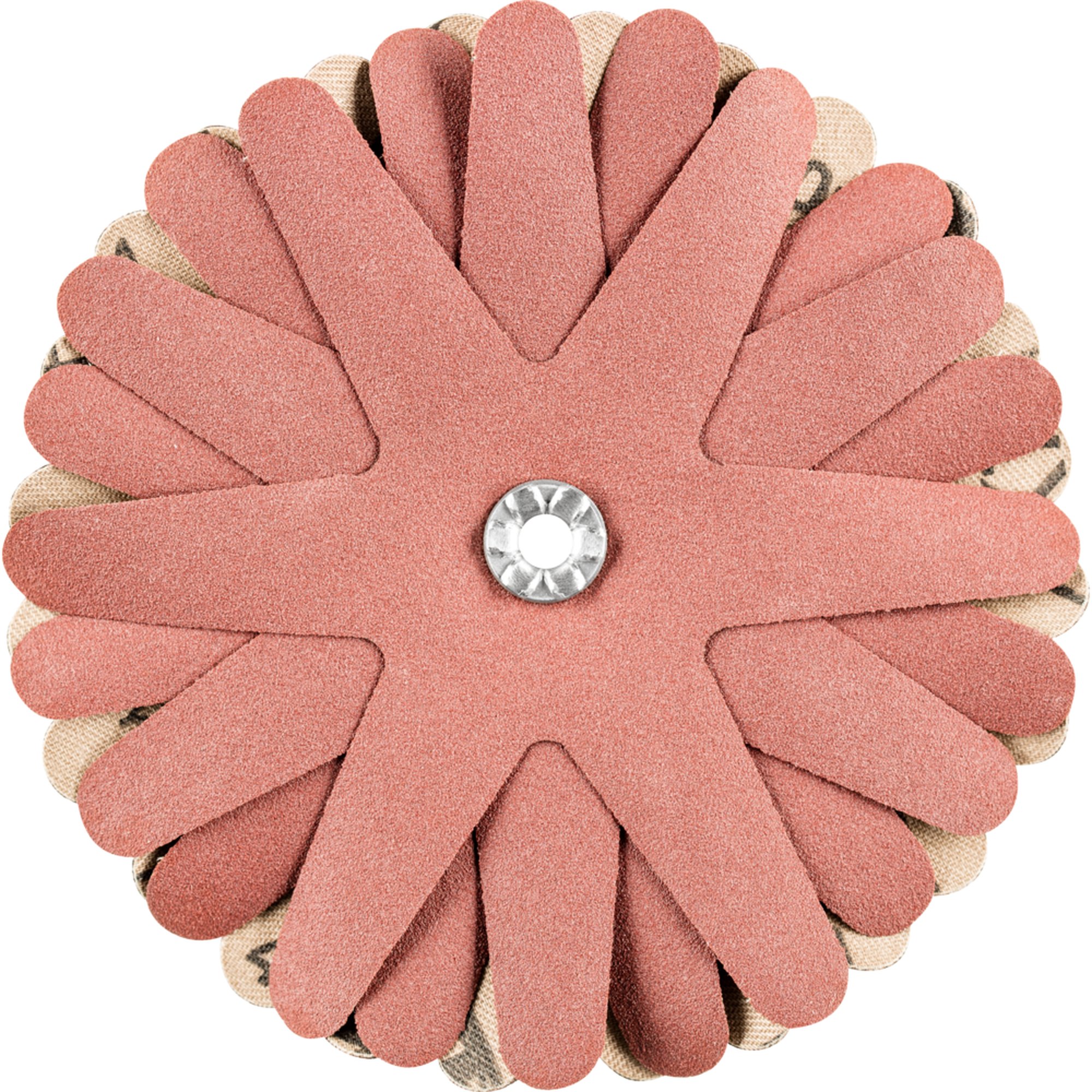 10 x Pferd Schleifstern POLISTAR-TUBE PST-T 100/5 8 A 240