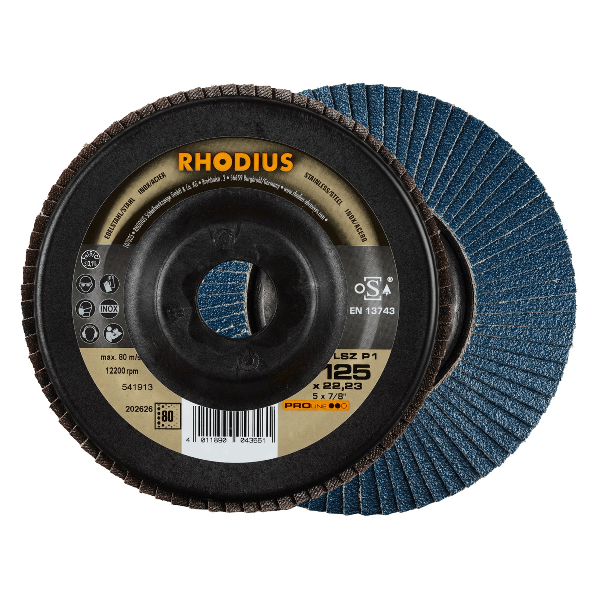 10 x RHODIUS Fächerschleifscheibe Fächerscheibe LSZ P1 Ø 125 mm Korn 80