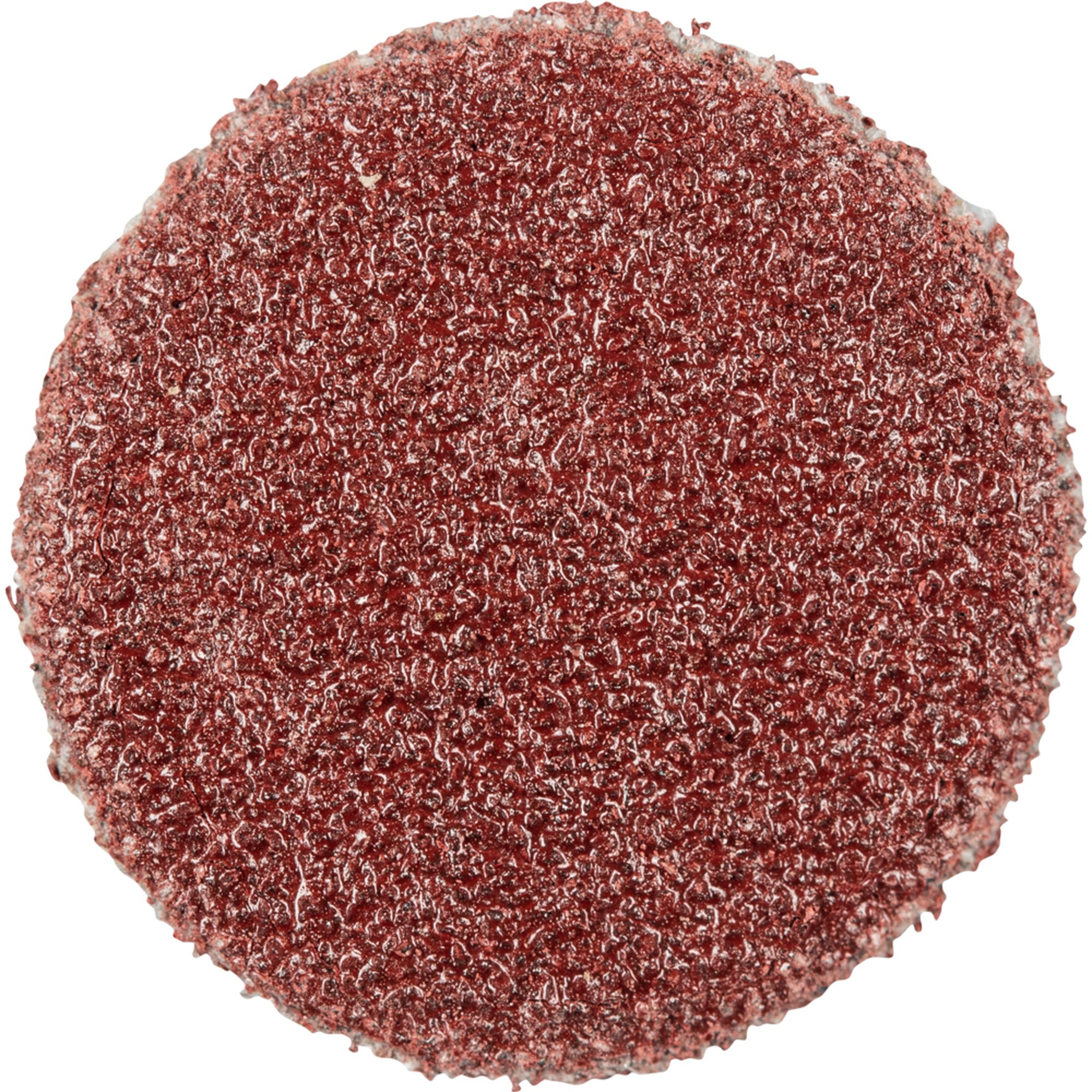 100 x Pferd Schleifscheibe Selbstklebendes Schleifblatt PSA 12 A 120