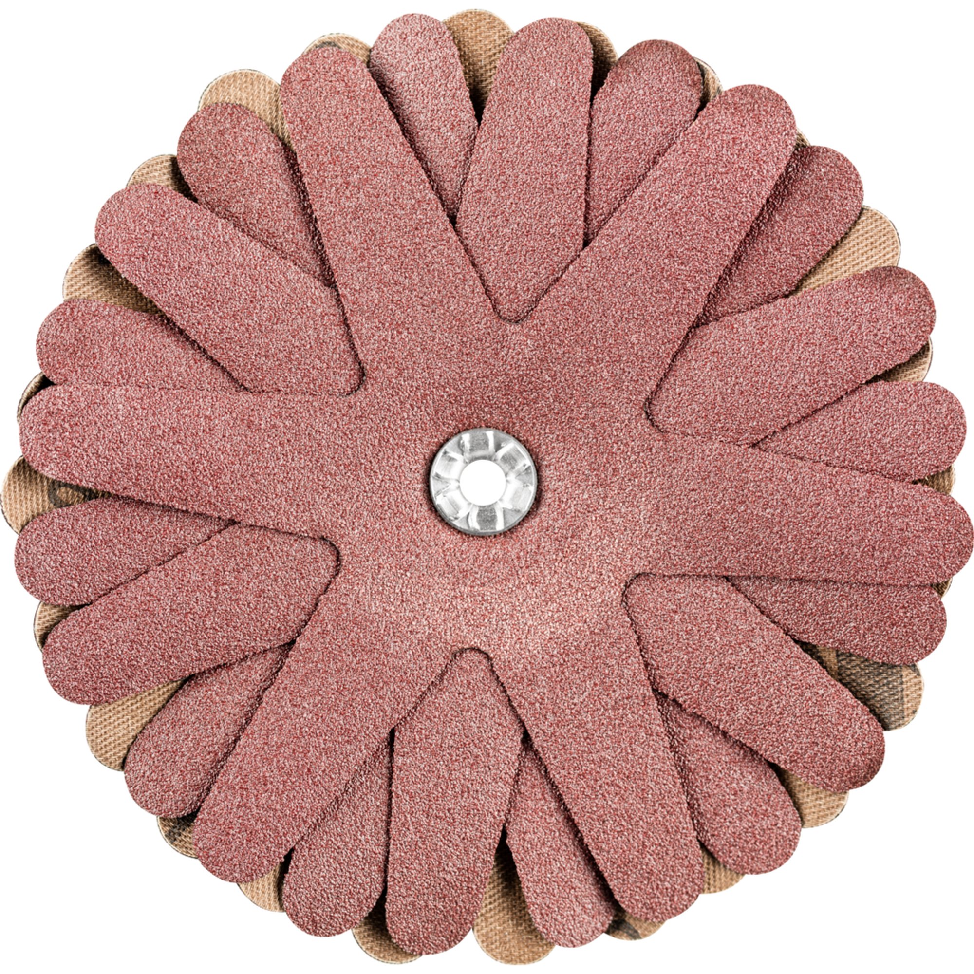 10 x Pferd Schleifstern POLISTAR-TUBE PST-T 100/5 8 A 120