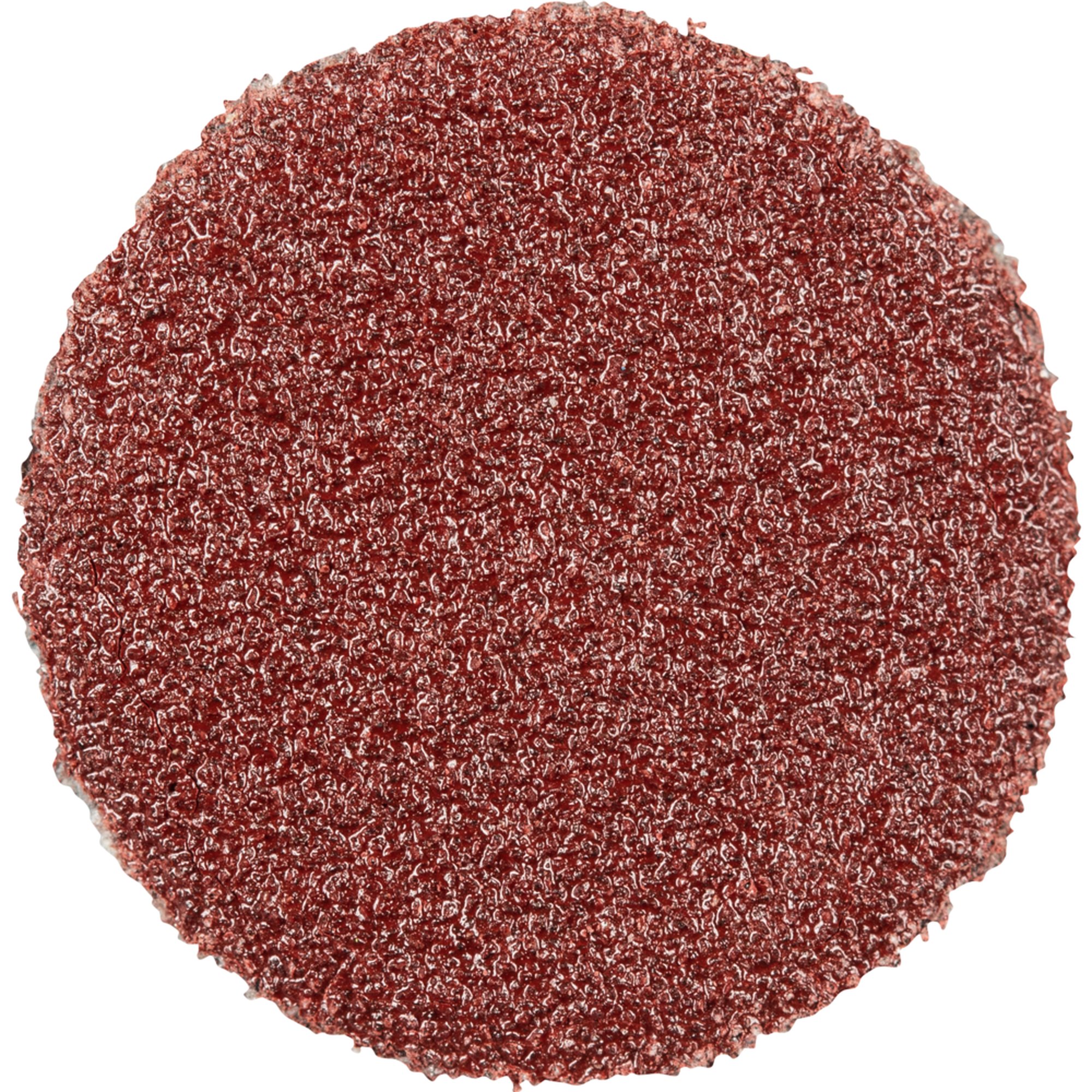 100 x Pferd Schleifscheibe Selbstklebendes Schleifblatt PSA 12 A 180