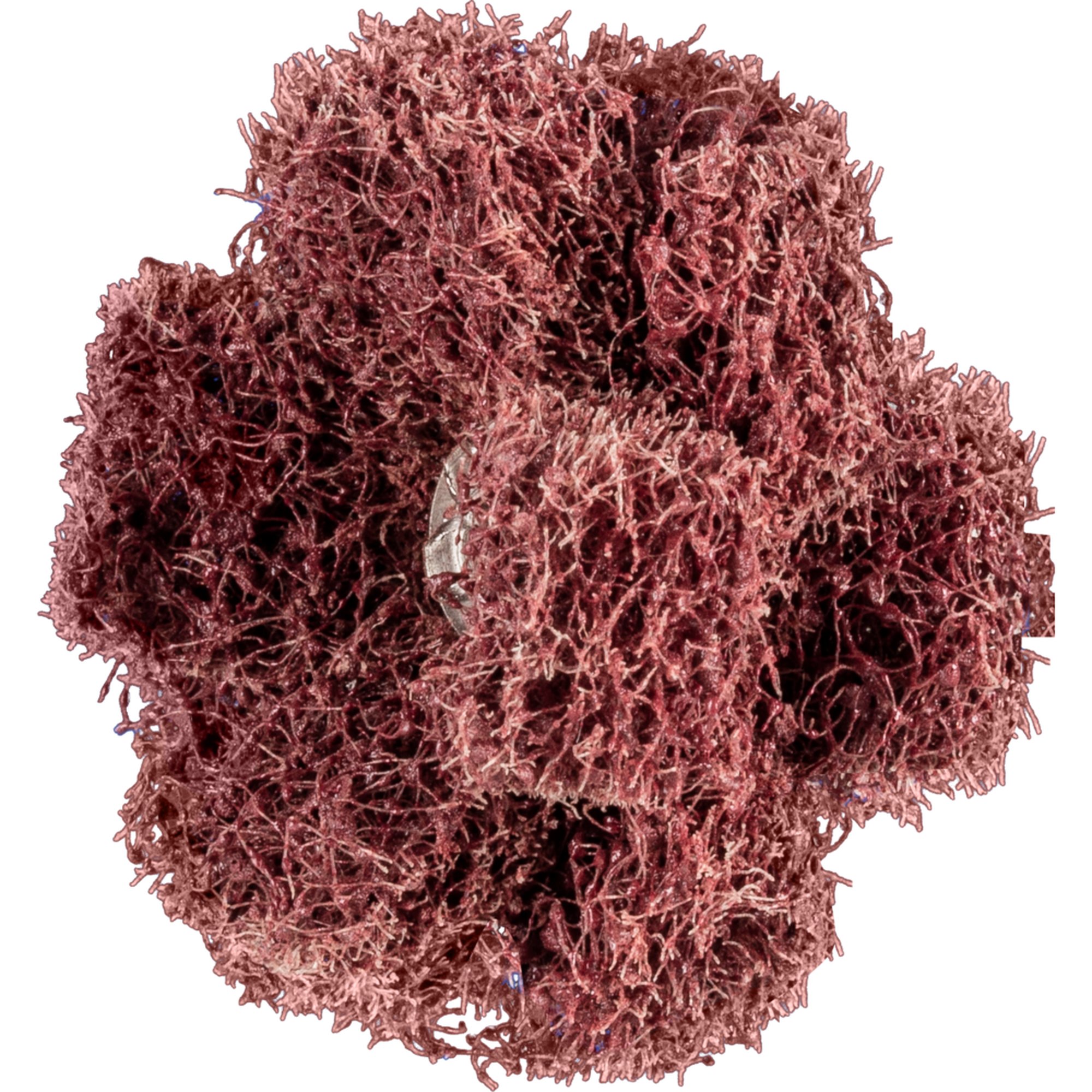 20 x PFERD POLINOX-Schleifstern PNST 38-3 A 80