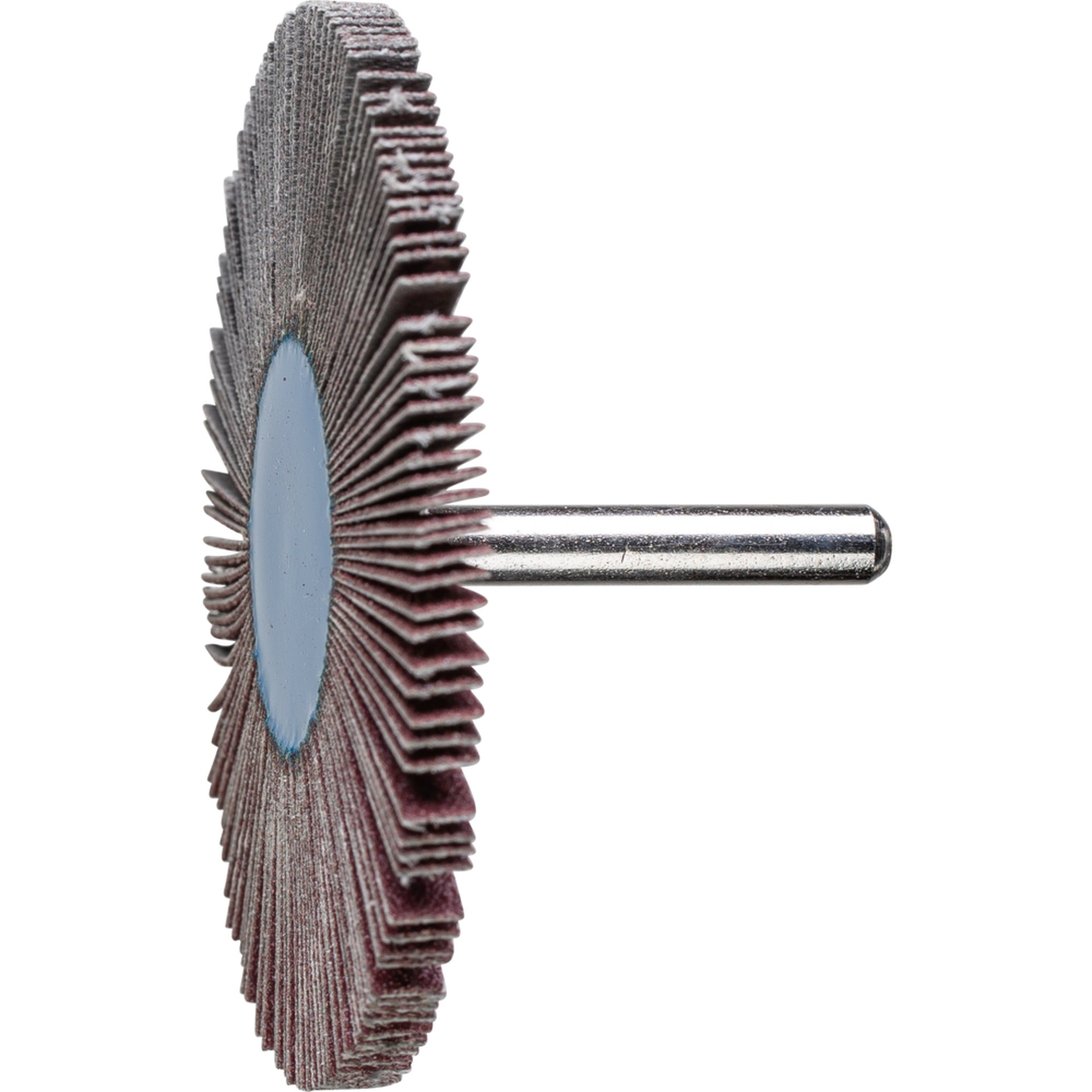 10 x PFERD Fächerschleifer F 8005/6 A 80