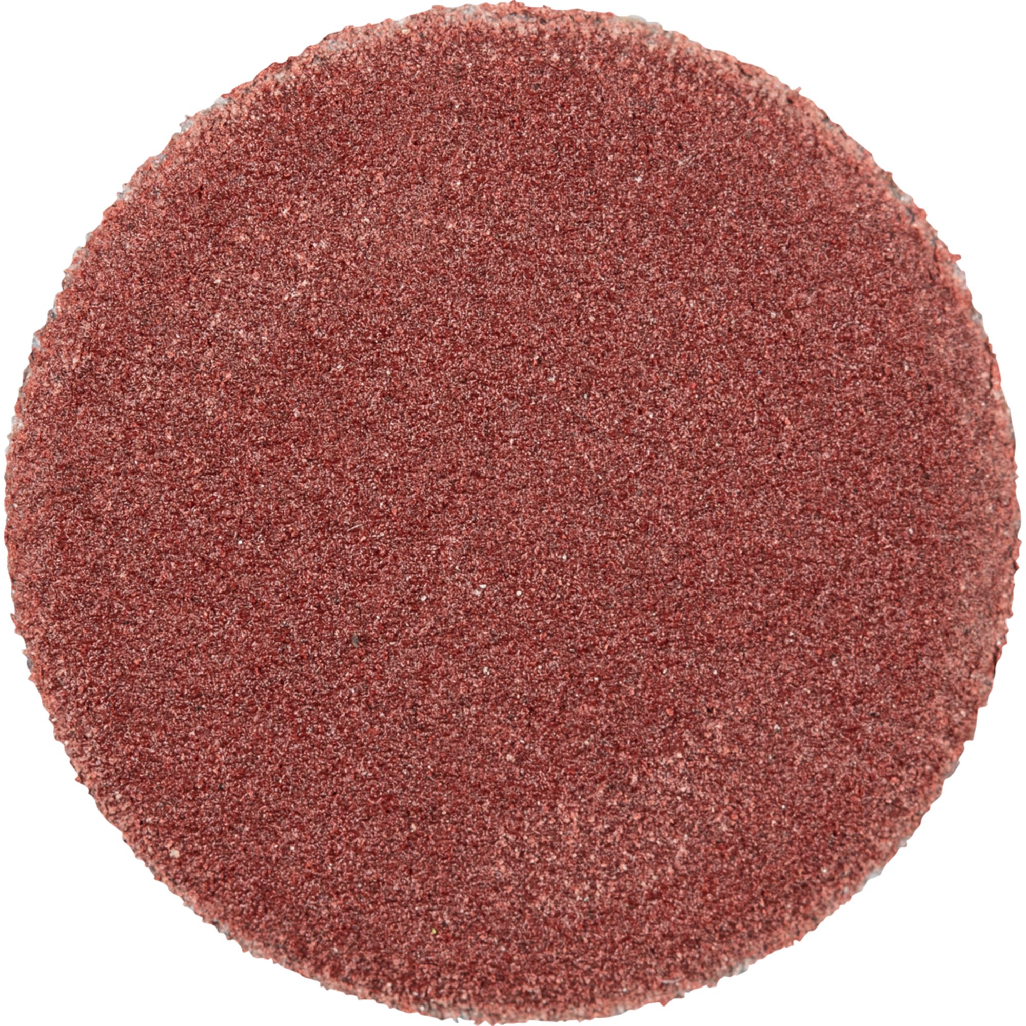 100 x Pferd Schleifscheibe Selbstklebendes Schleifblatt PSA 12 A 400