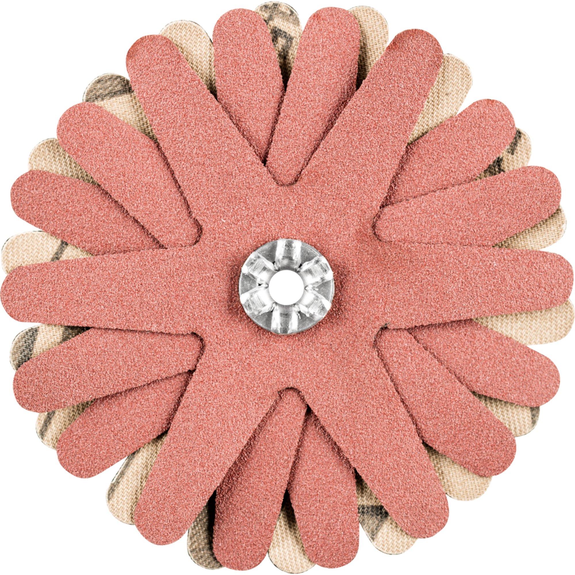 10 x Pferd Schleifstern POLISTAR-TUBE PST-T 70/4 6 A 240