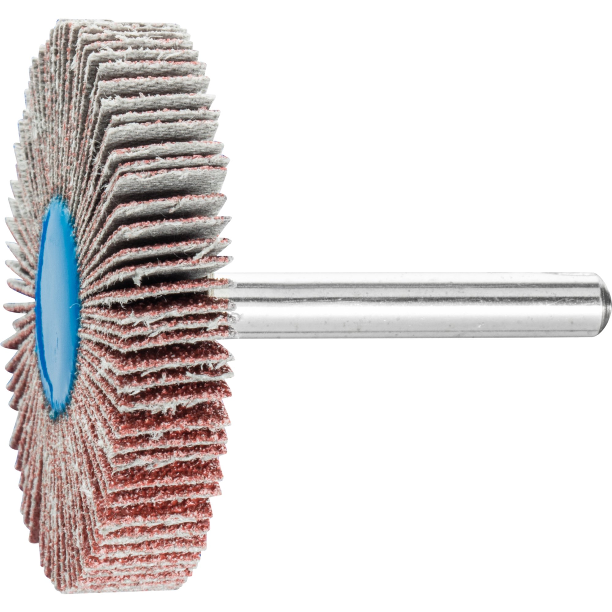 10 x PFERD Fächerschleifer F 5010/6 A 60