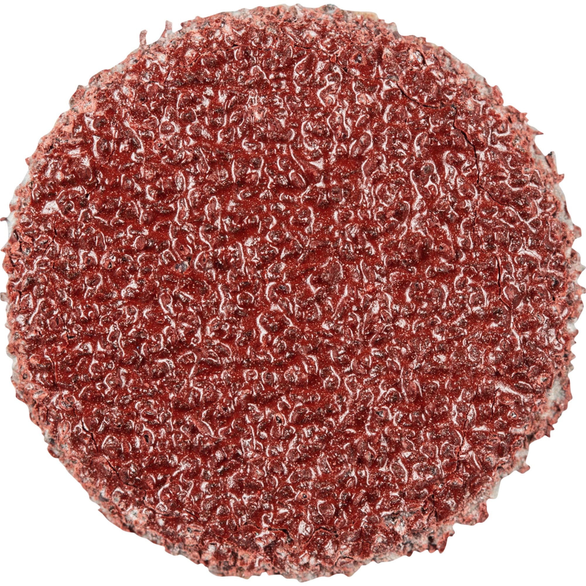 100 x Pferd Schleifscheibe Selbstklebendes Schleifblatt PSA 12 A 80