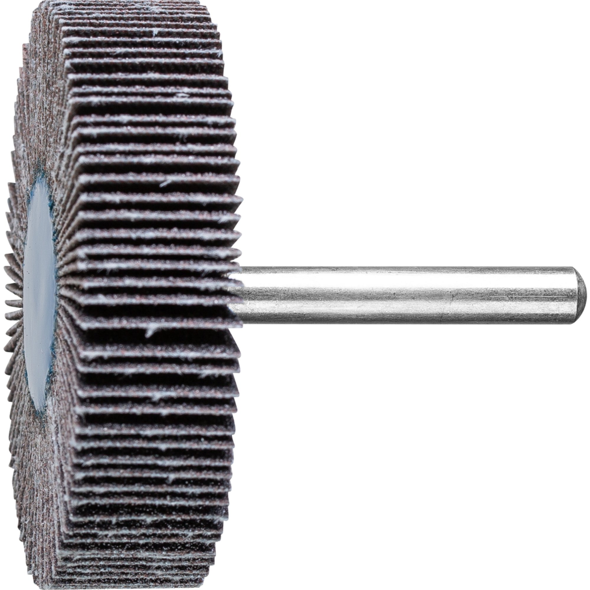 10 x PFERD Fächerschleifer F 6015/6 SiC 80