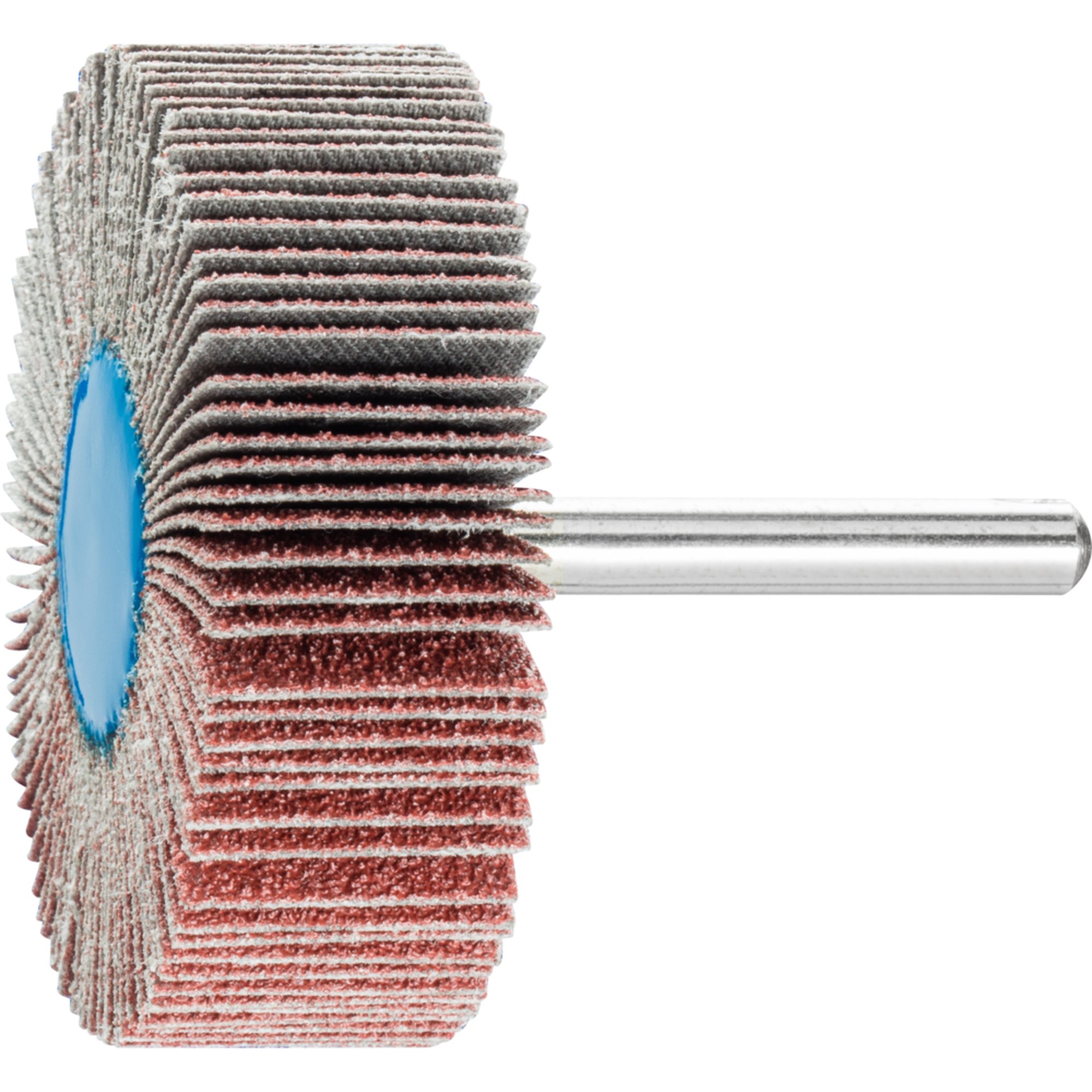 10 x PFERD Fächerschleifer F 6020/6 A 60