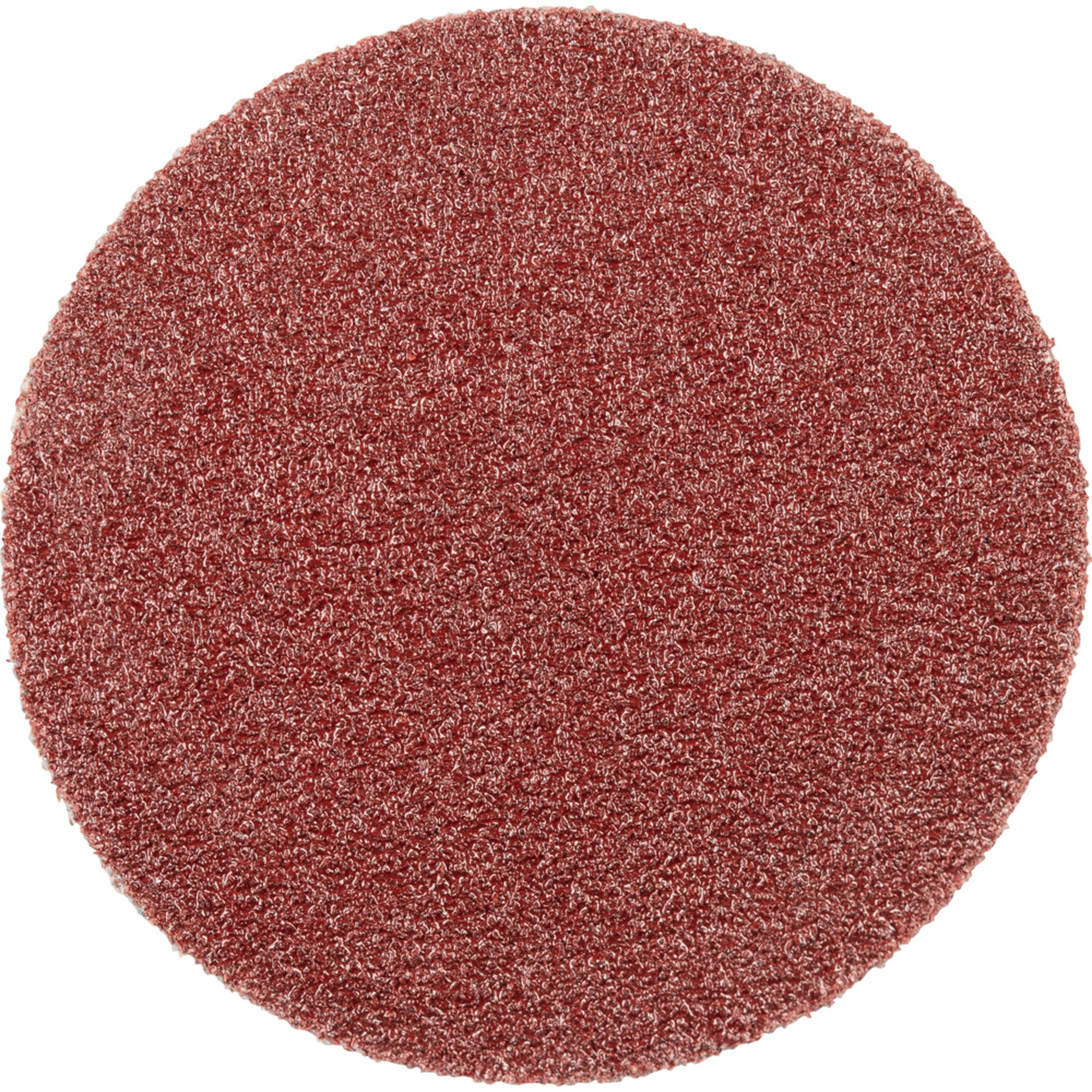 100 x Pferd Schleifscheibe Selbstklebendes Schleifblatt PSA 30 A 120