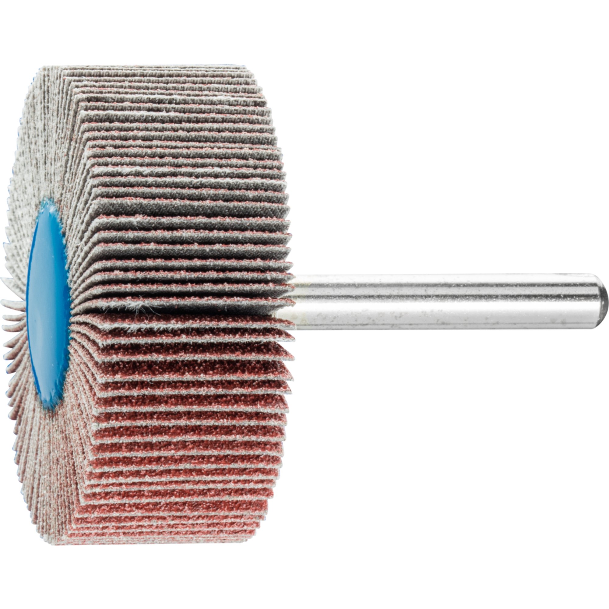 10 x PFERD Fächerschleifer F 5020/6 A 80