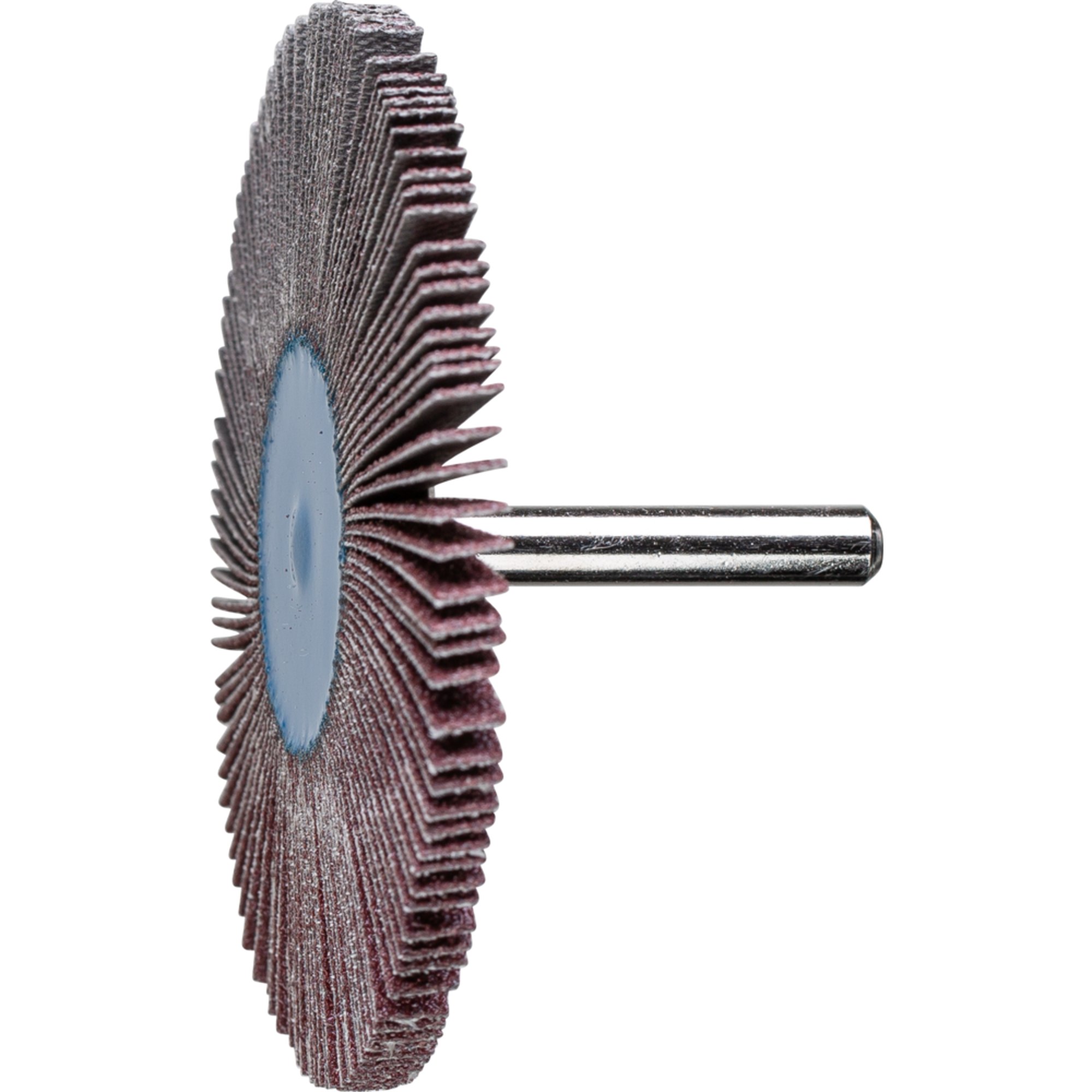 10 x PFERD Fächerschleifer F 8005/6 A 60