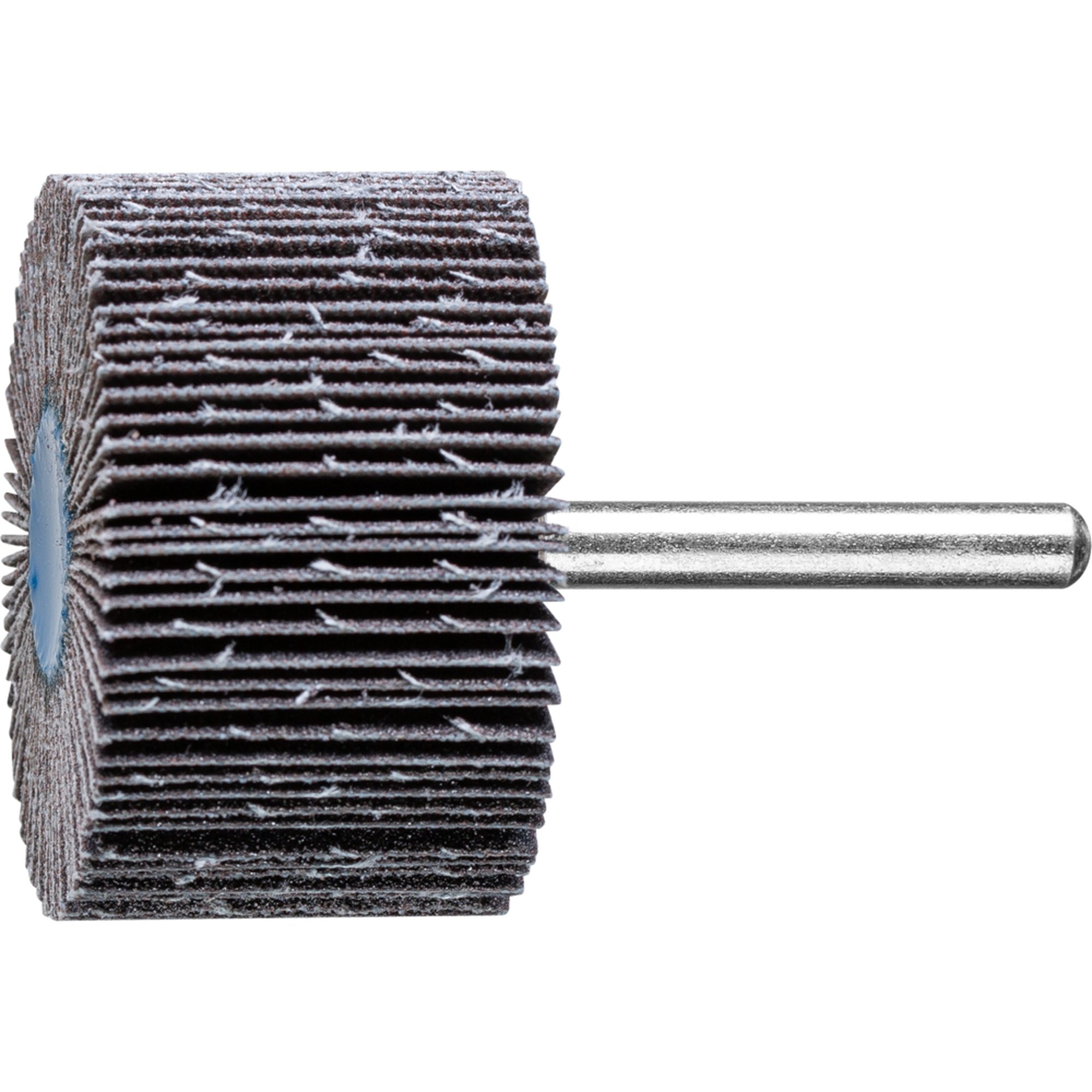 10 x PFERD Fächerschleifer F 5030/6 SiC 120