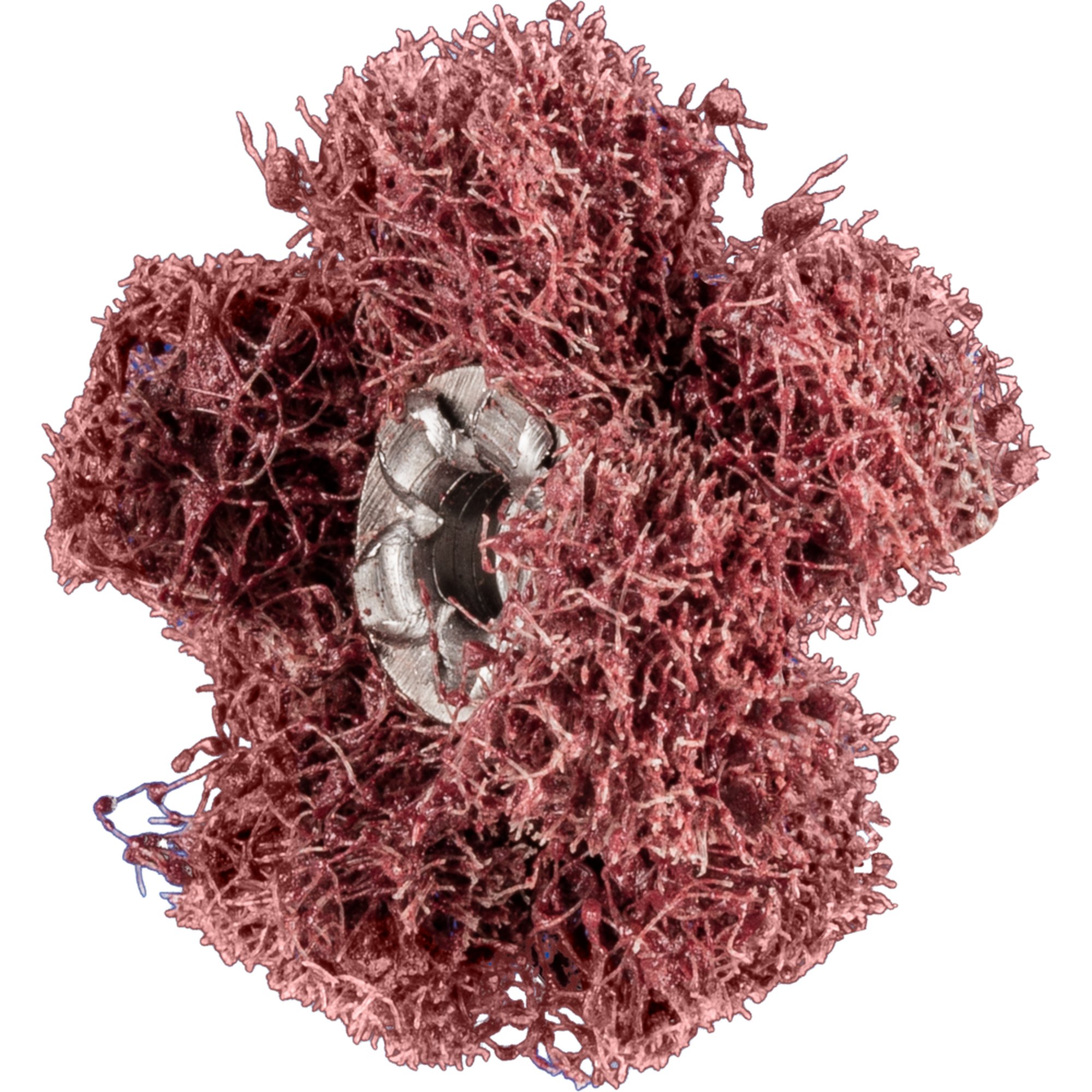 20 x PFERD POLINOX-Schleifstern PNST 25-2 A 80