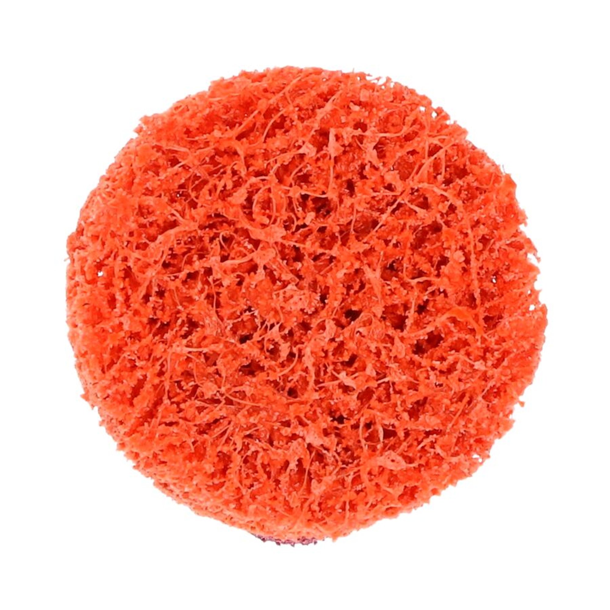 25 x Norton Blaze Rapid Strip TYPE 29 Reinigungsscheiben 50,8 mm PXCRS