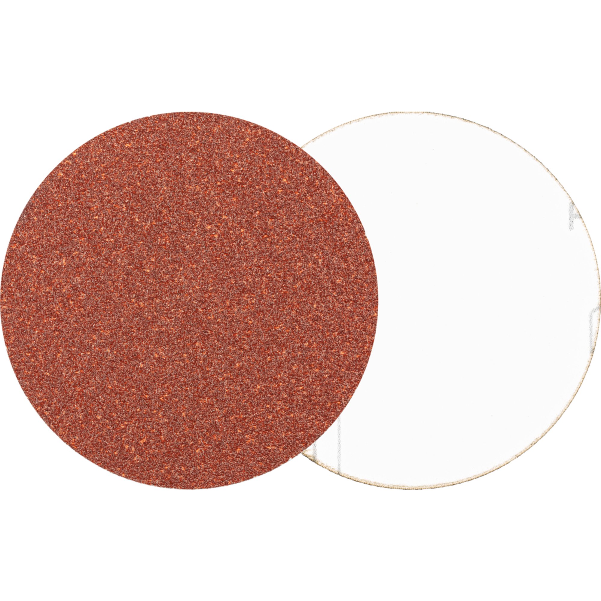 50 x Pferd Schleifscheibe Klettronde KR 115 A 60