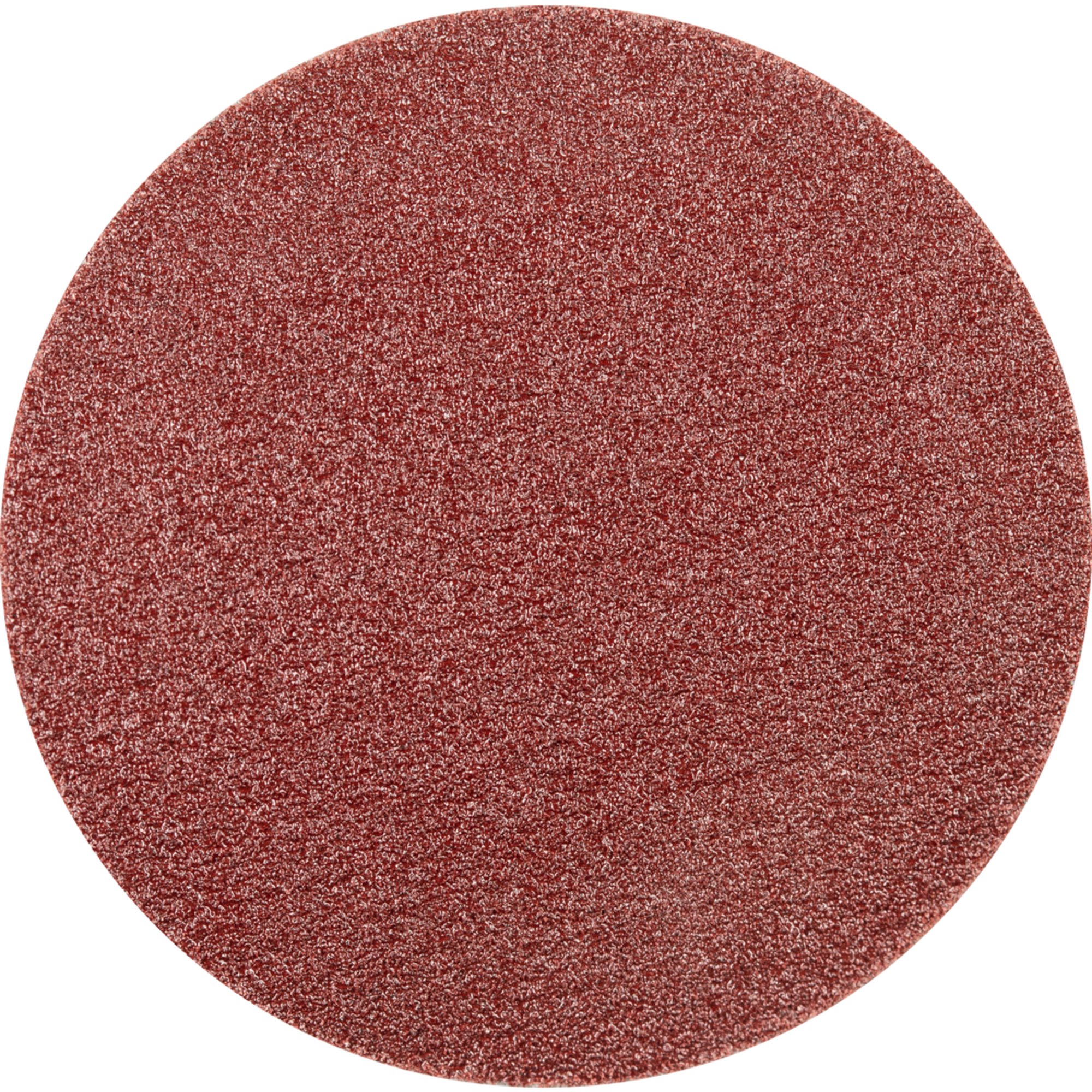 100 x Pferd Schleifscheibe Selbstklebendes Schleifblatt PSA 30 A 180