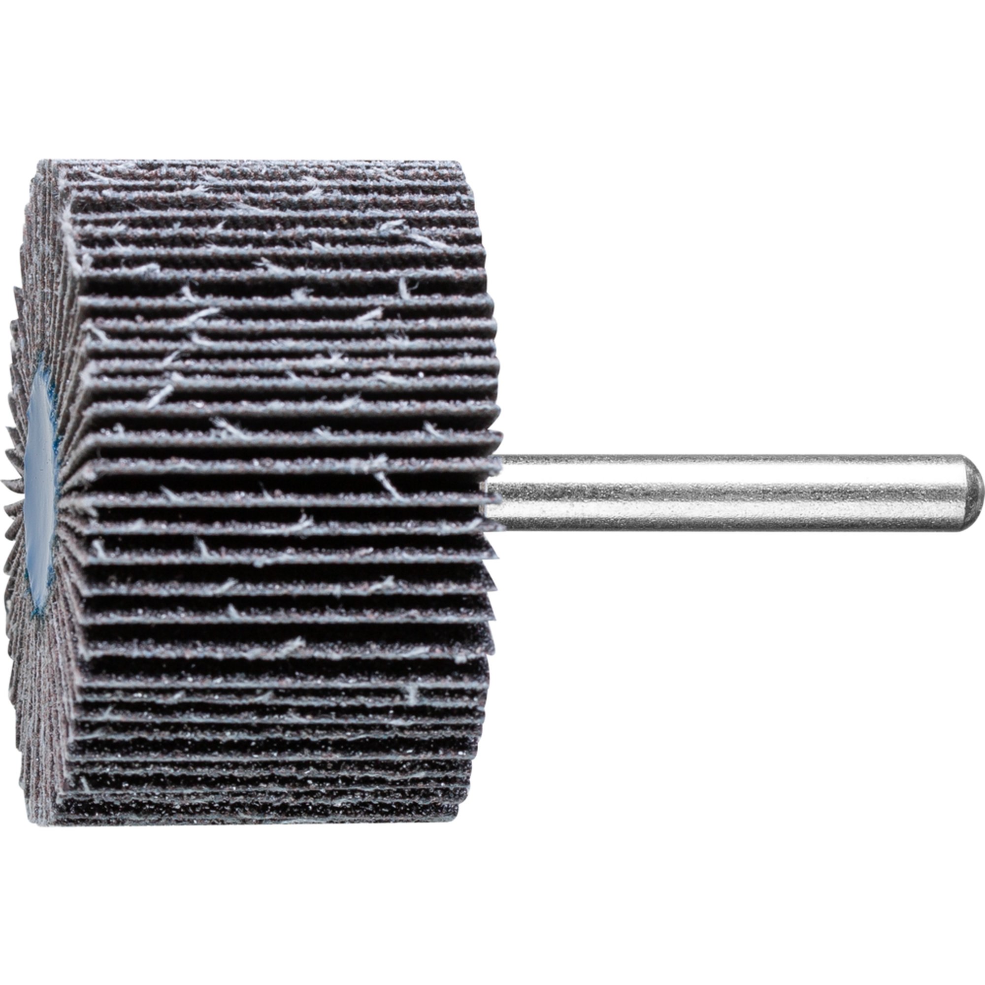 10 x PFERD Fächerschleifer F 5030/6 SiC 60