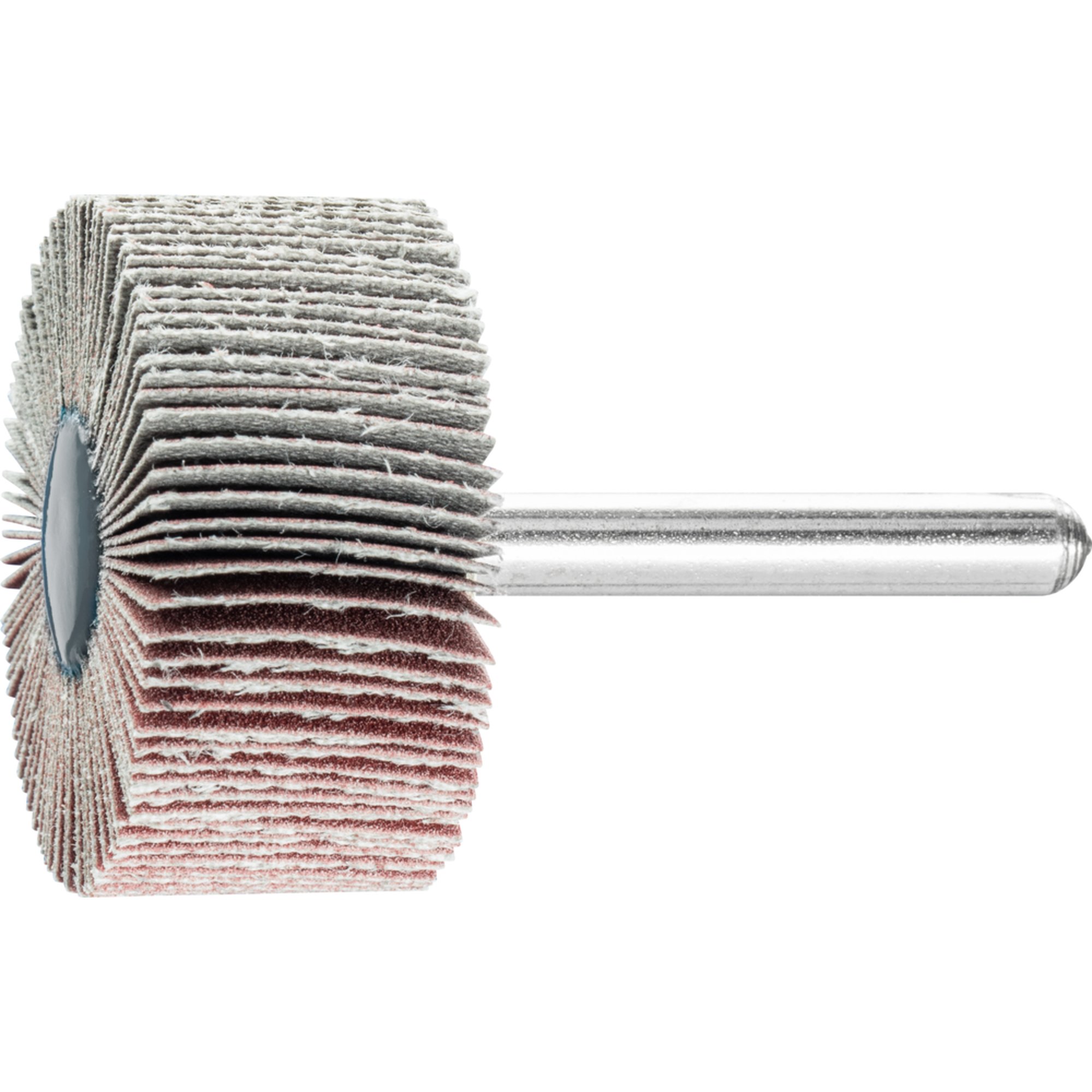 10 x PFERD Fächerschleifer F 4020/6 A 240