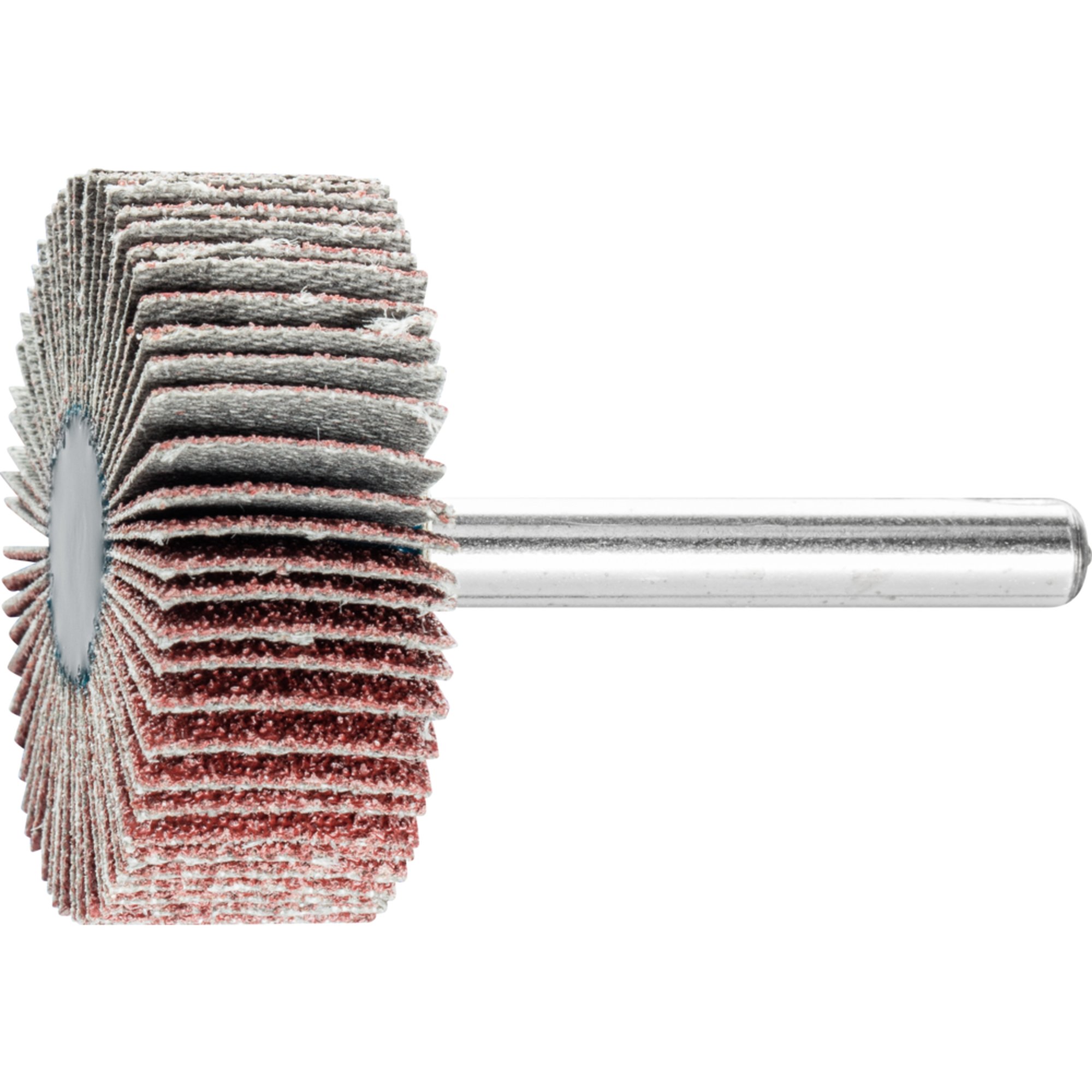 10 x PFERD Fächerschleifer F 4015/6 A 60