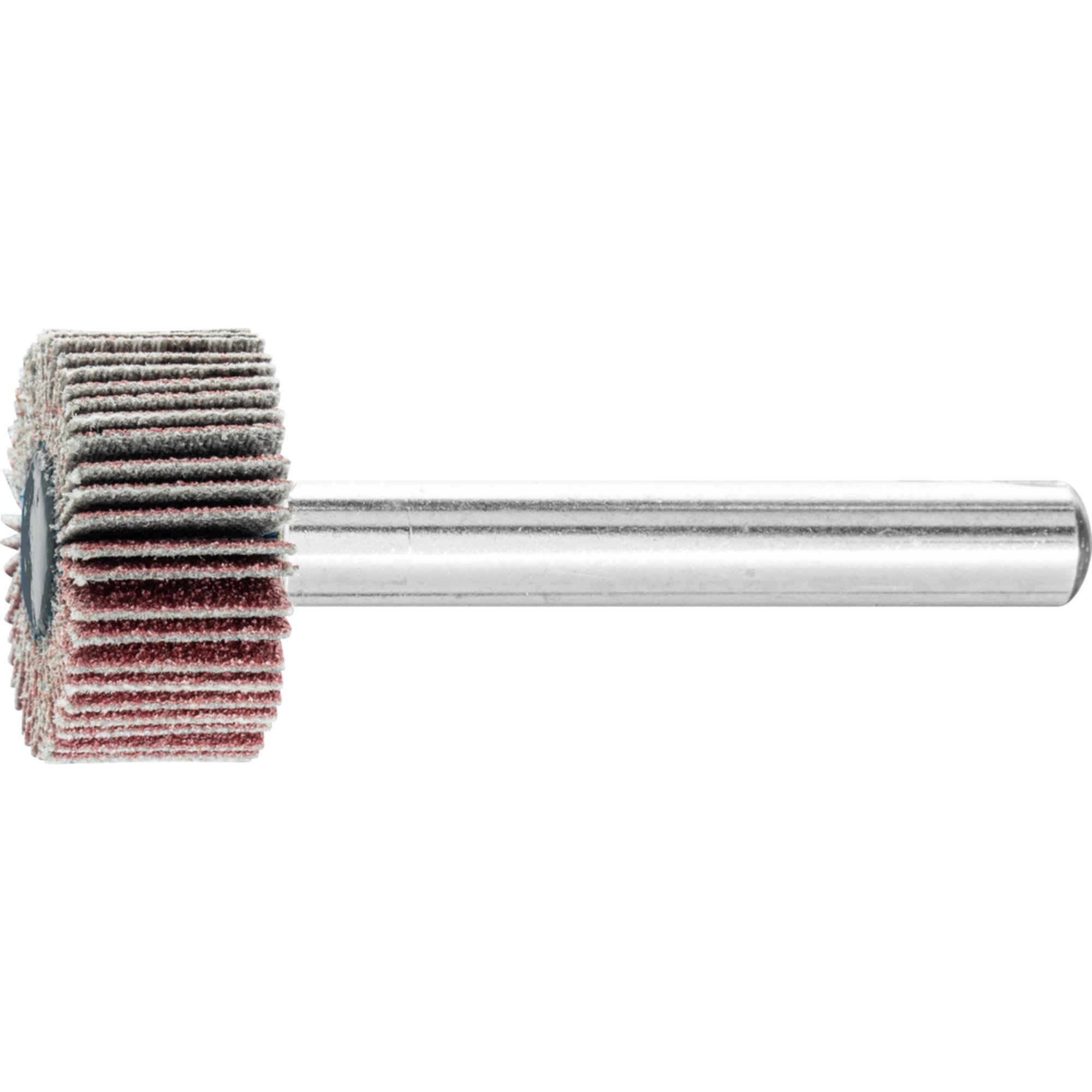 10 x PFERD Fächerschleifer F 2010/6 A 120