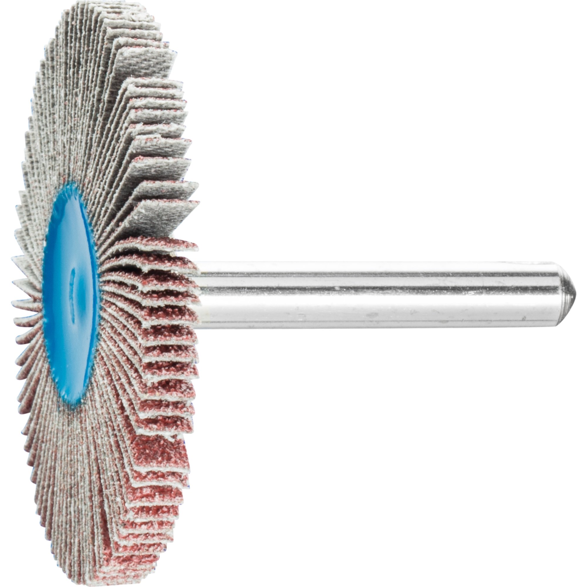 10 x PFERD Fächerschleifer F 5005/6 A 60