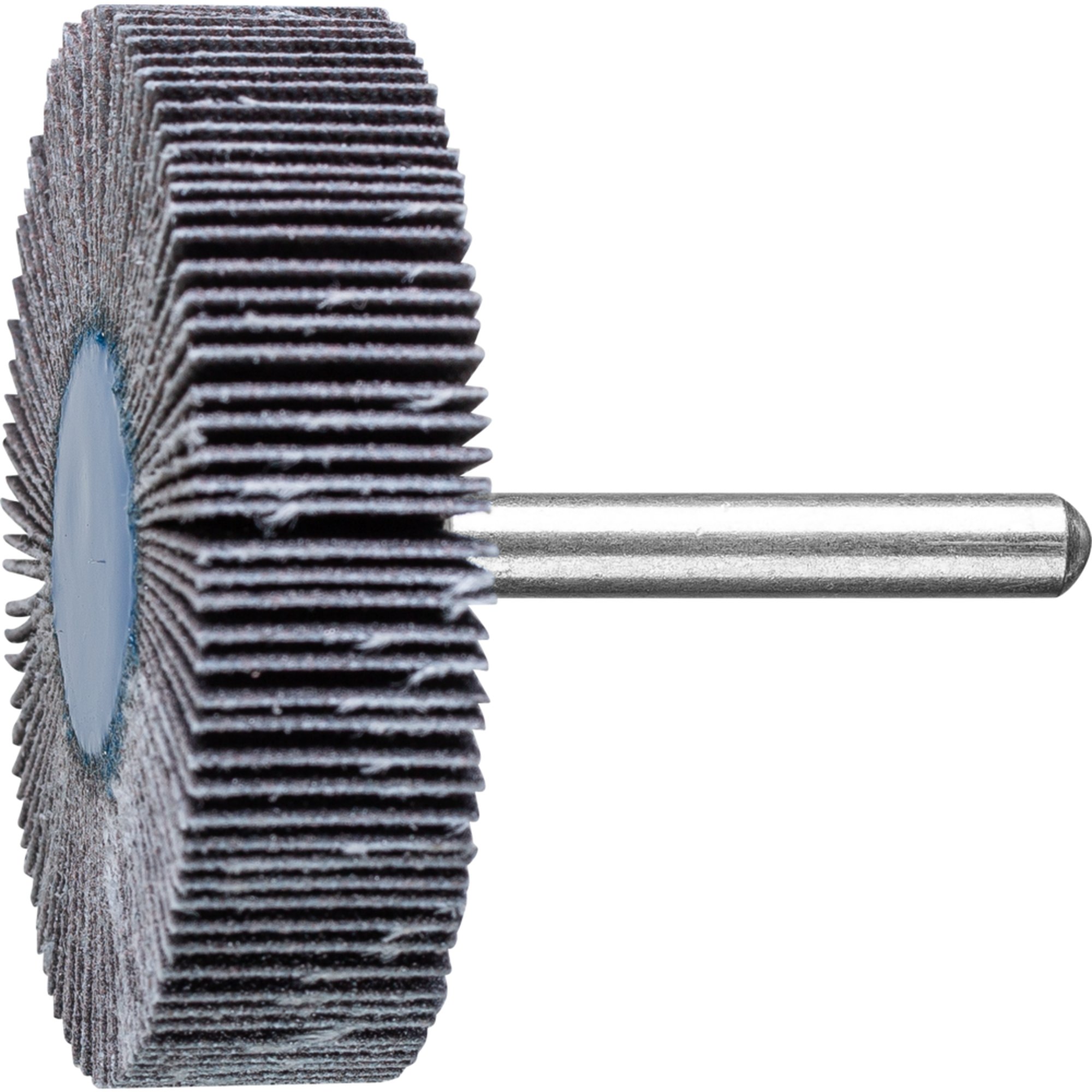 10 x PFERD Fächerschleifer F 6015/6 SiC 120