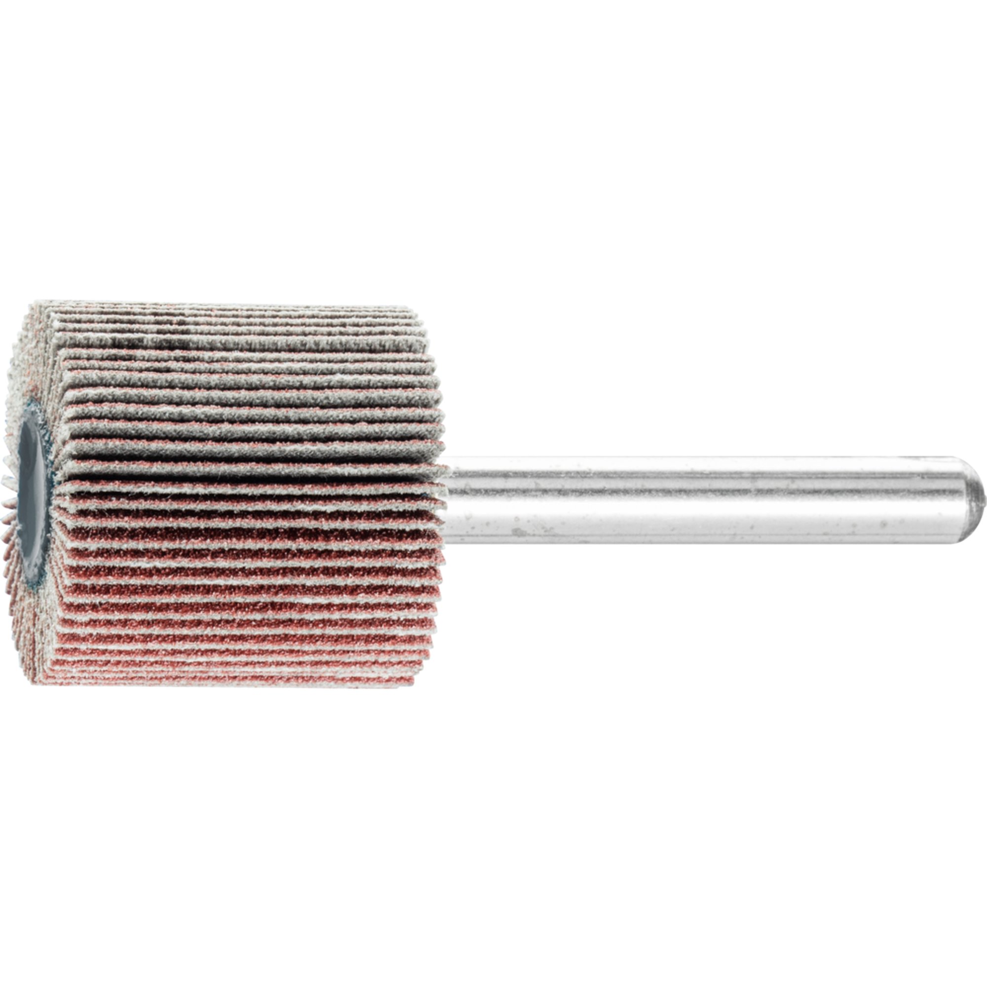 10 x PFERD Fächerschleifer F 2525/6 A 120