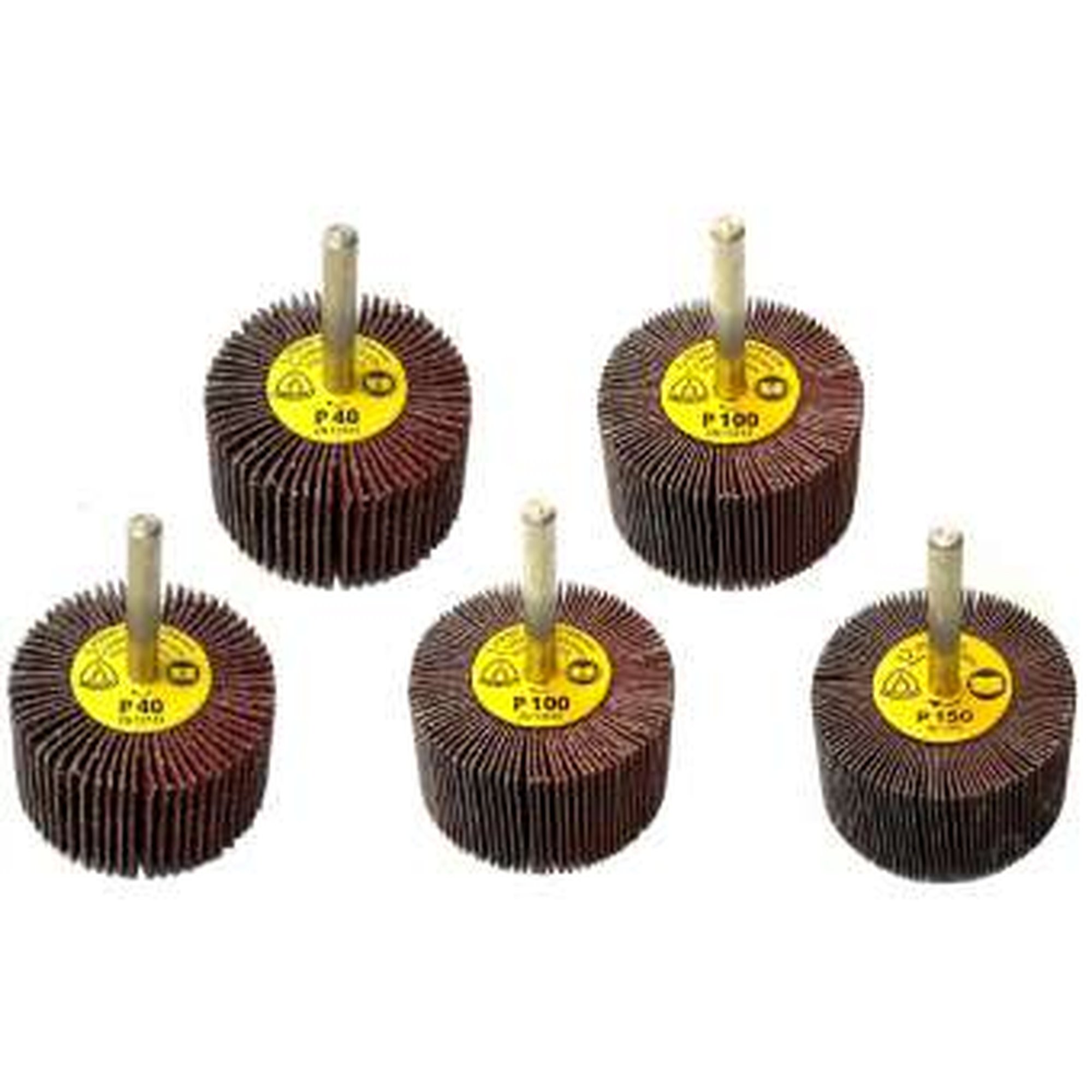 Klingspor Schleifmop / Fächerschleifer KM 613 | 50x30x6 mm | Korn 120