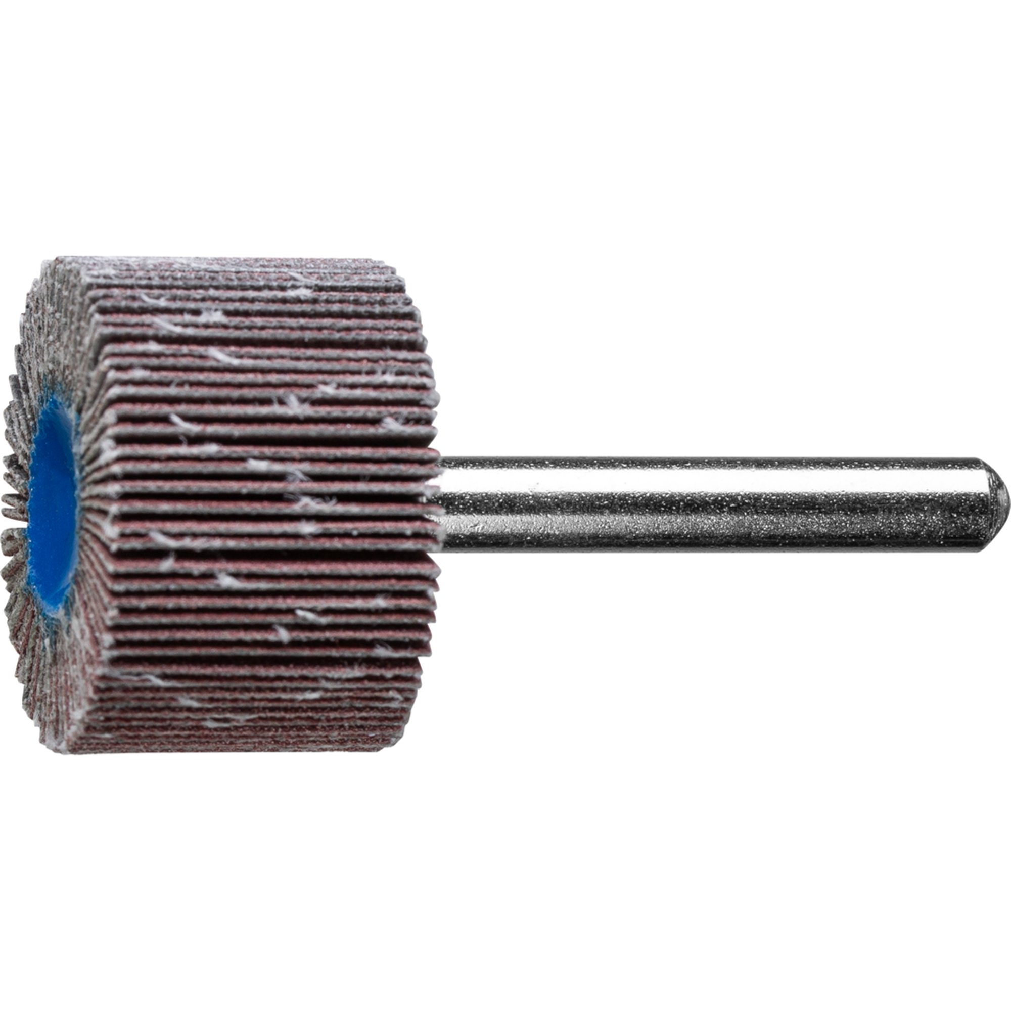 10 x PFERD Fächerschleifer F 3020/6 A 240