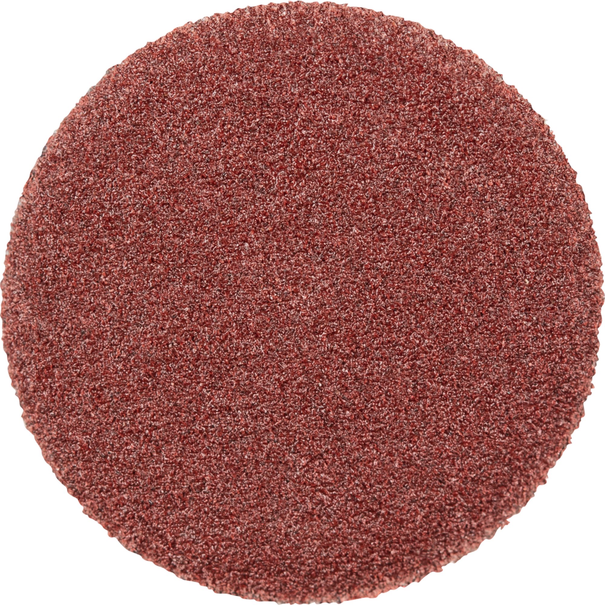 100 x Pferd Schleifscheibe Selbstklebendes Schleifblatt PSA 12 A 320