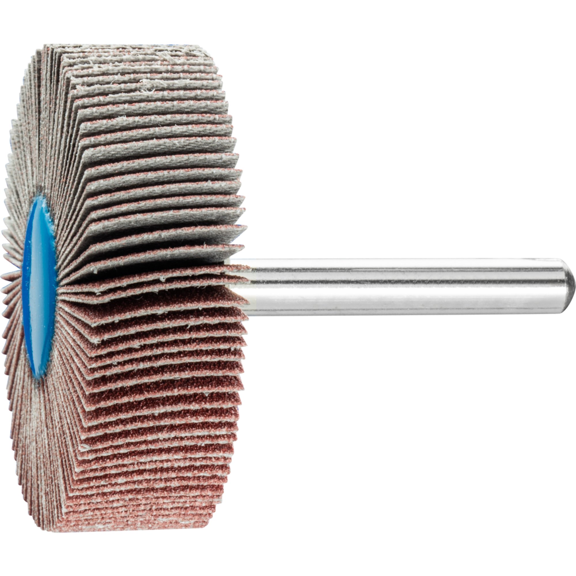 10 x PFERD Fächerschleifer F 5015/6 A 120