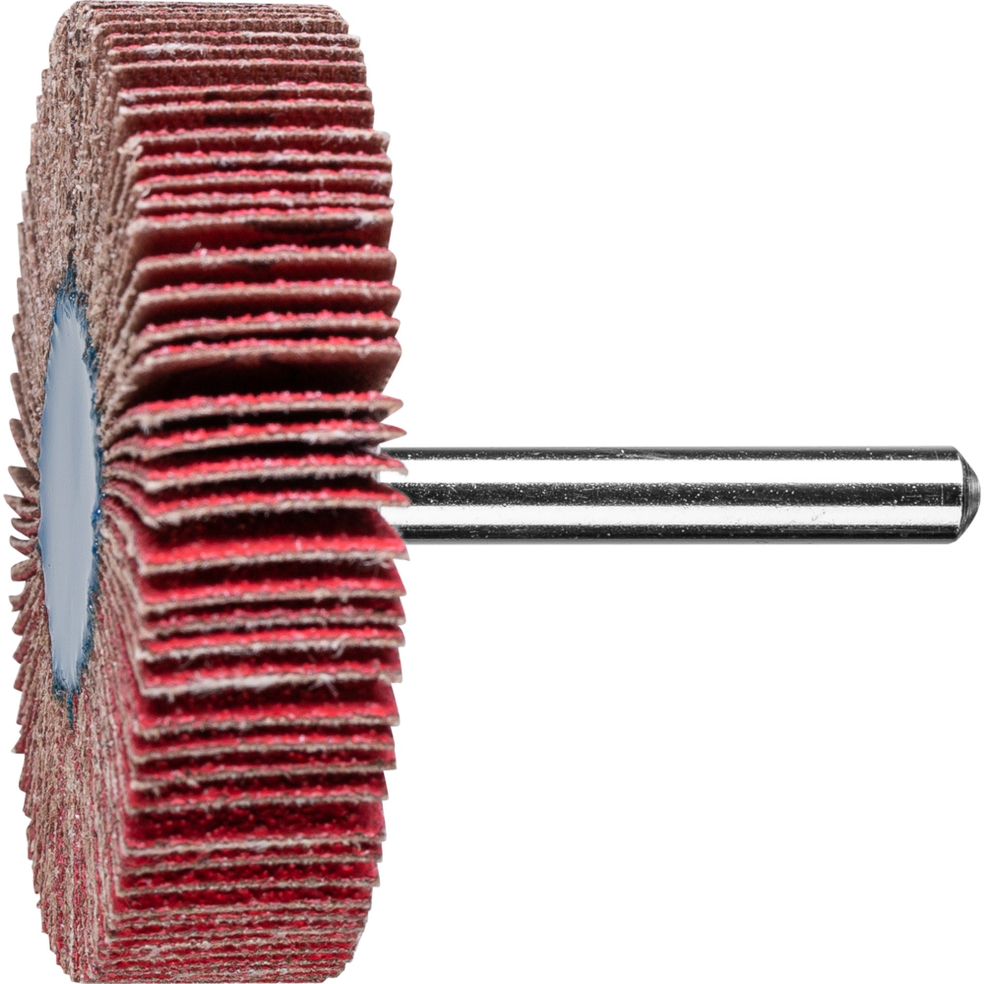 10 x PFERD Fächerschleifer F 6015/6 CO-COOL 80