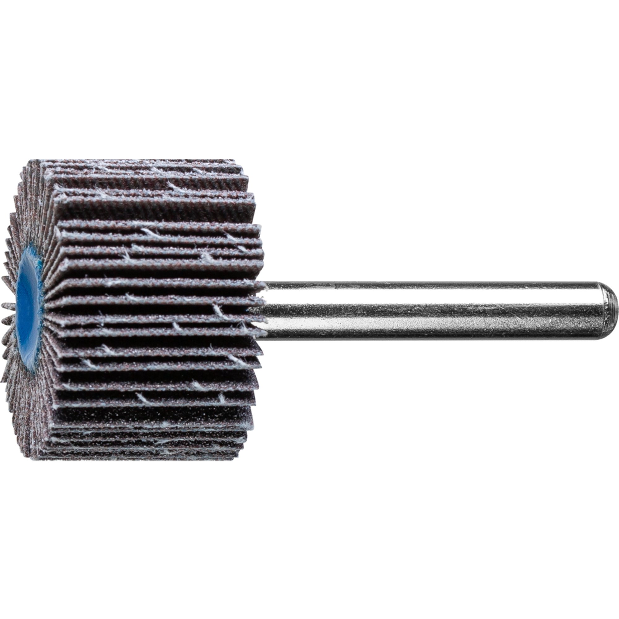 10 x PFERD Fächerschleifer F 3020/6 SiC 120