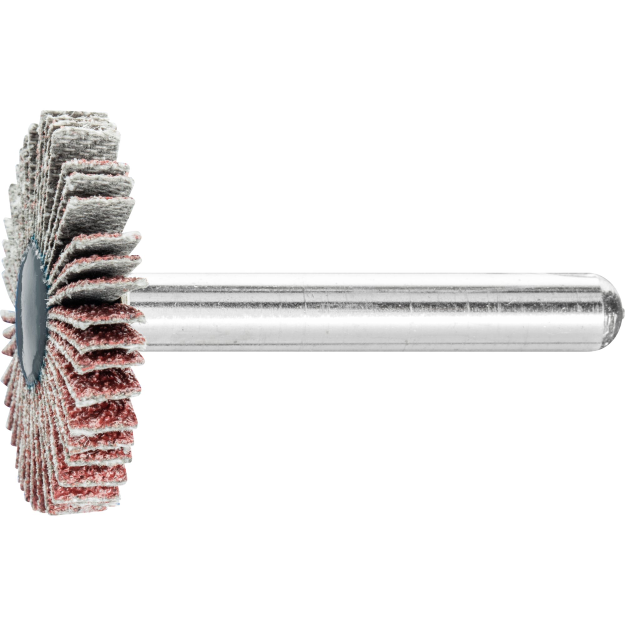 10 x PFERD Fächerschleifer F 3005/6 A 60