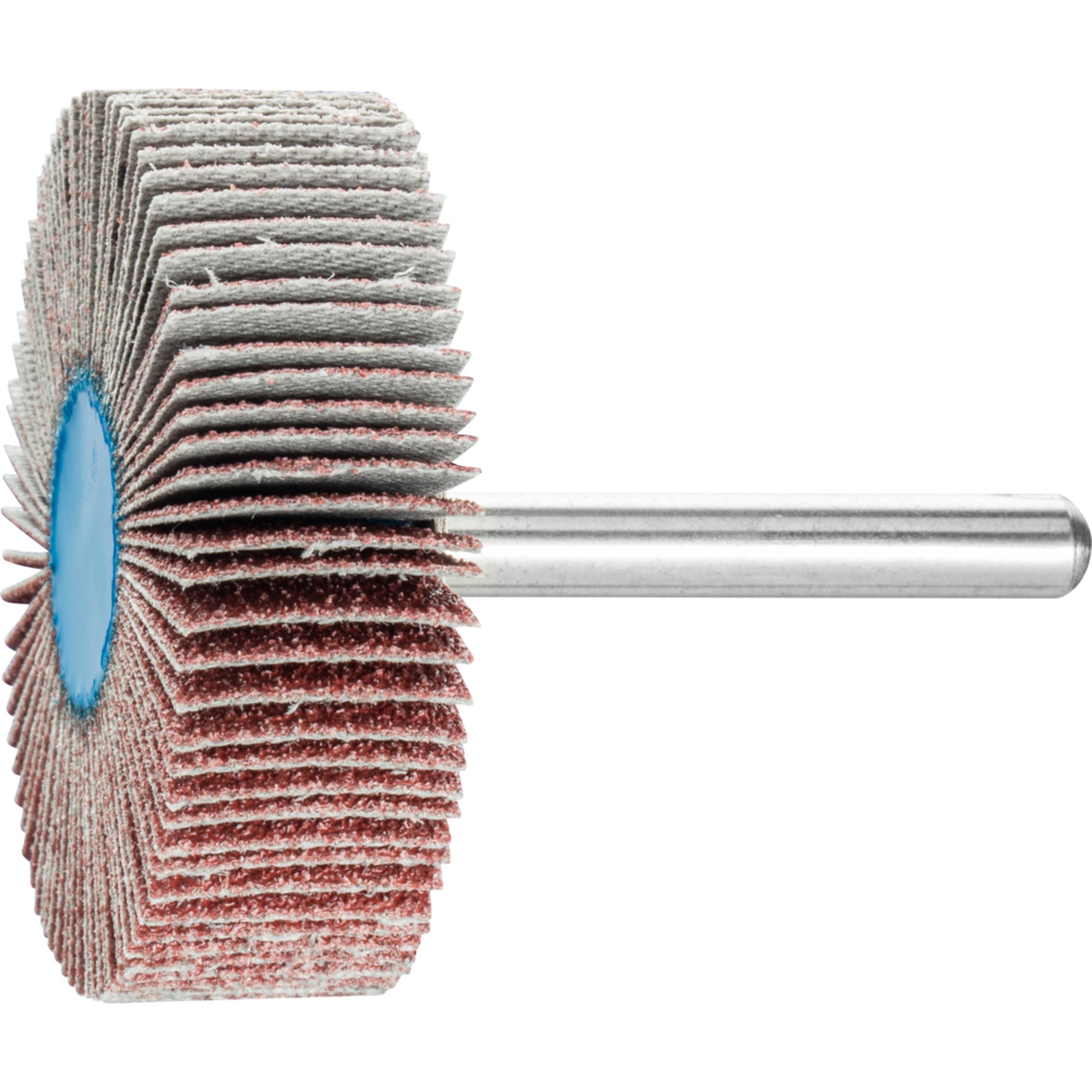 10 x PFERD Fächerschleifer F 5015/6 A 60