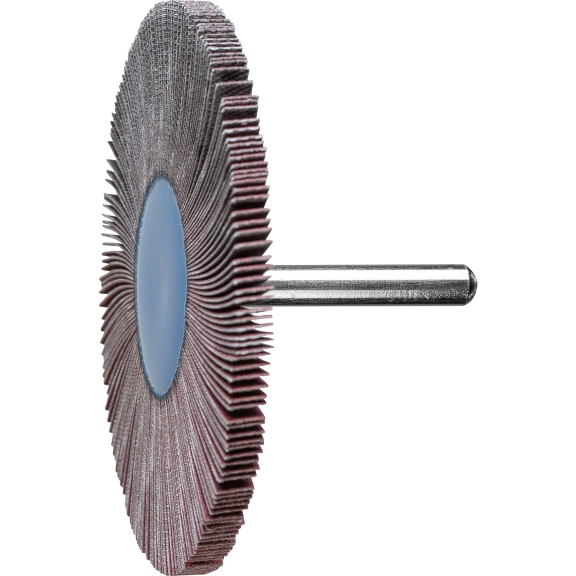 10 x PFERD Fächerschleifer F 8005/6 A 240