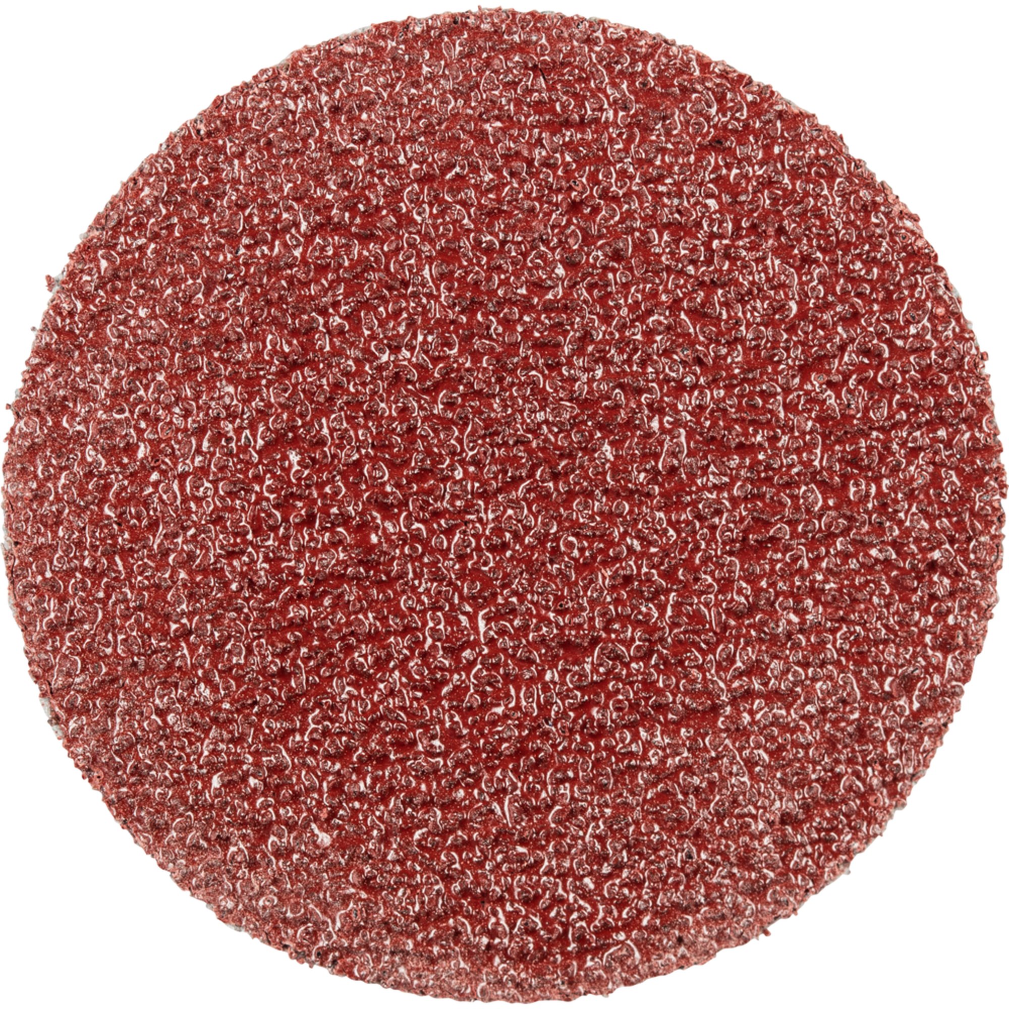 100 x Pferd Schleifscheibe Selbstklebendes Schleifblatt PSA 30 A 60