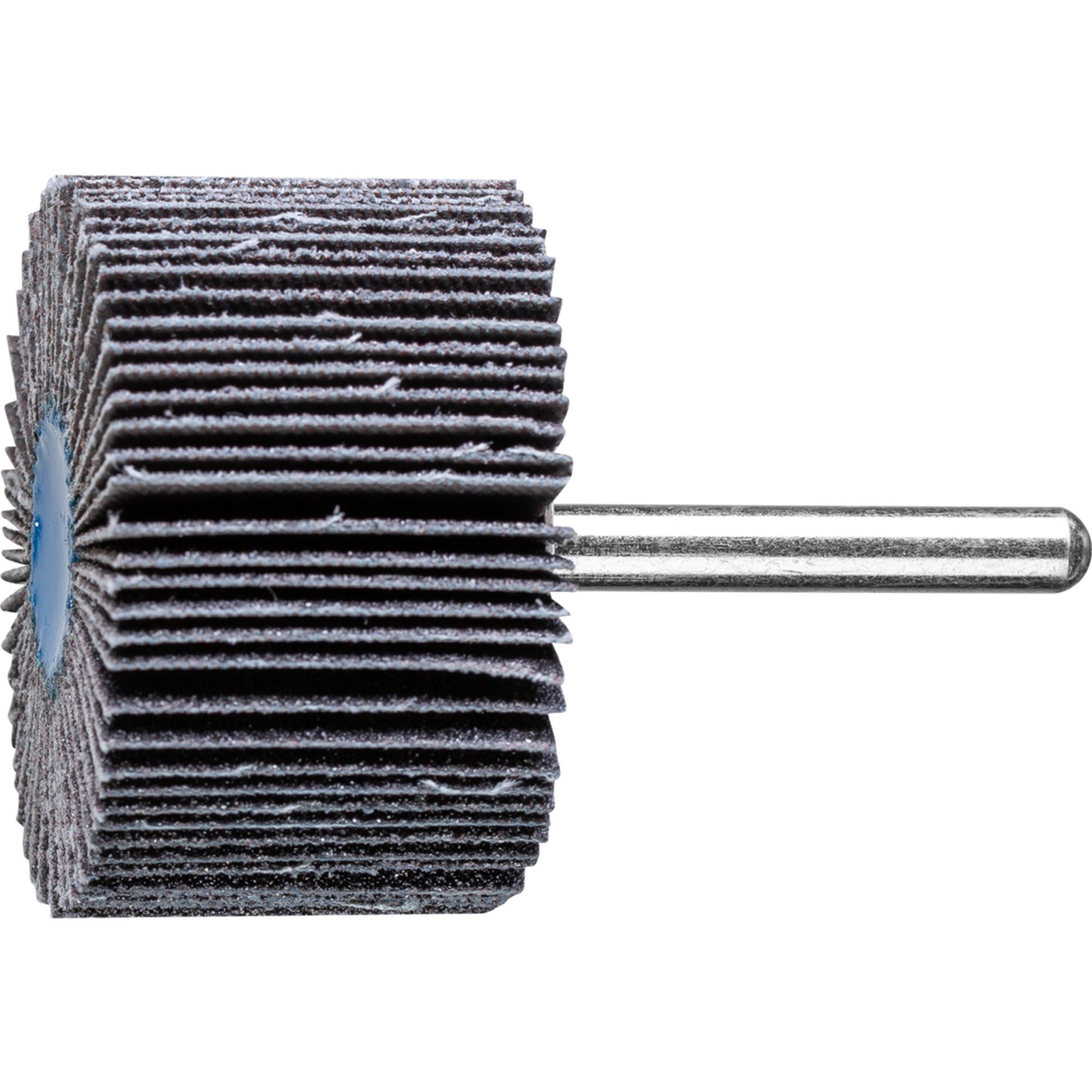 10 x PFERD Fächerschleifer F 5030/6 SiC 80