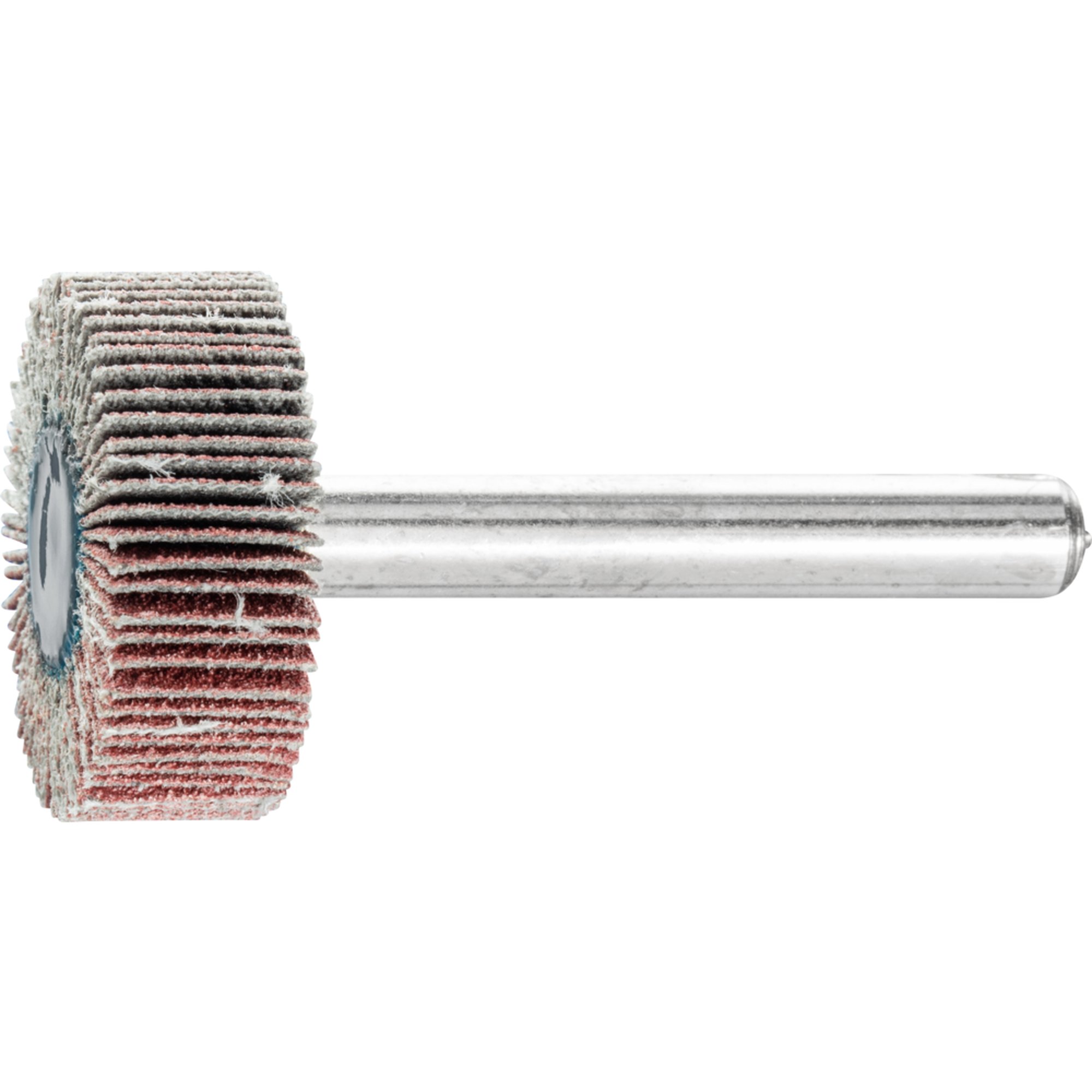 10 x PFERD Fächerschleifer F 2510/6 A 120