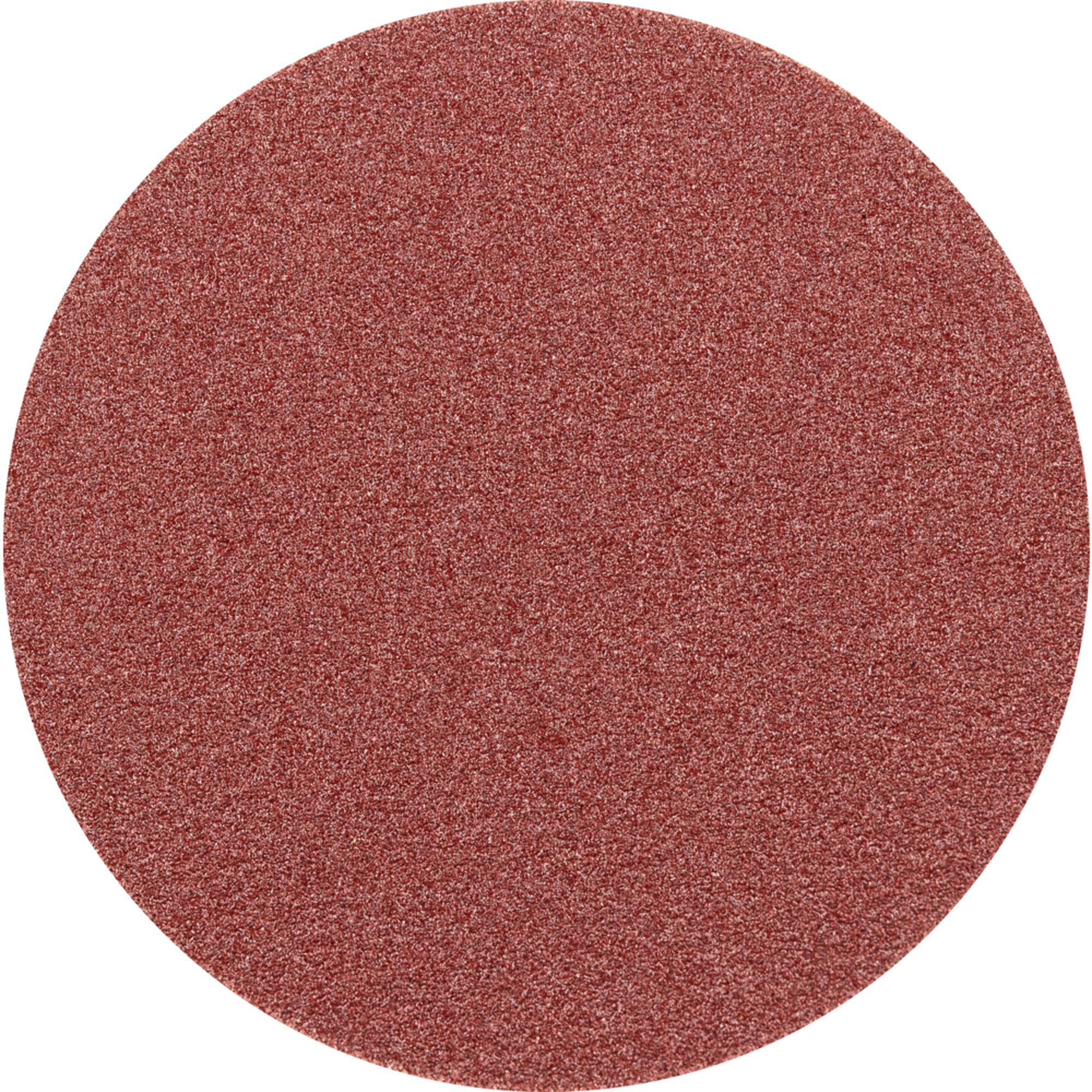 100 x Pferd Schleifscheibe Selbstklebendes Schleifblatt PSA 30 A 240