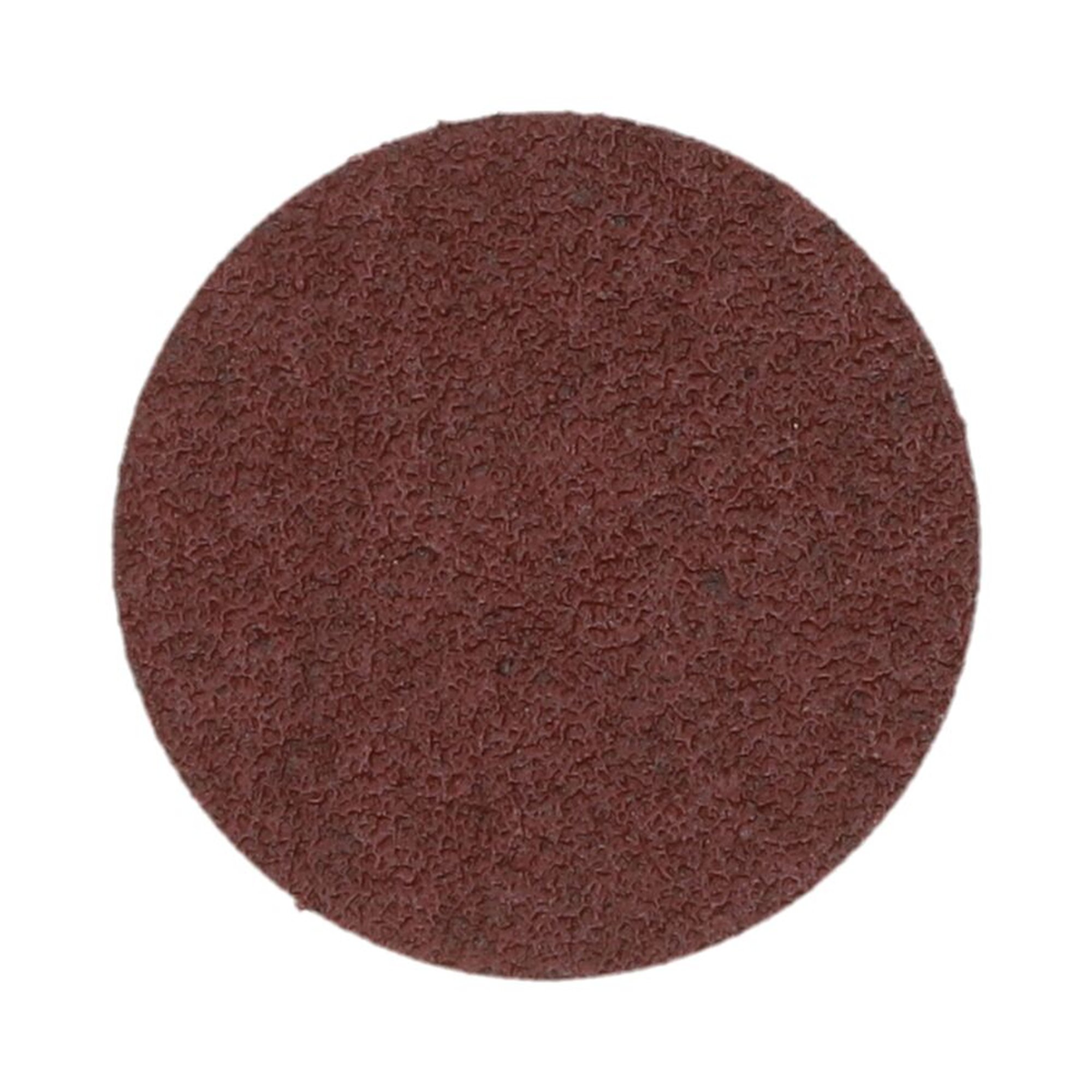 50 x Norton Stützteller für Schnellwechselscheiben BDX, robust und langlebig