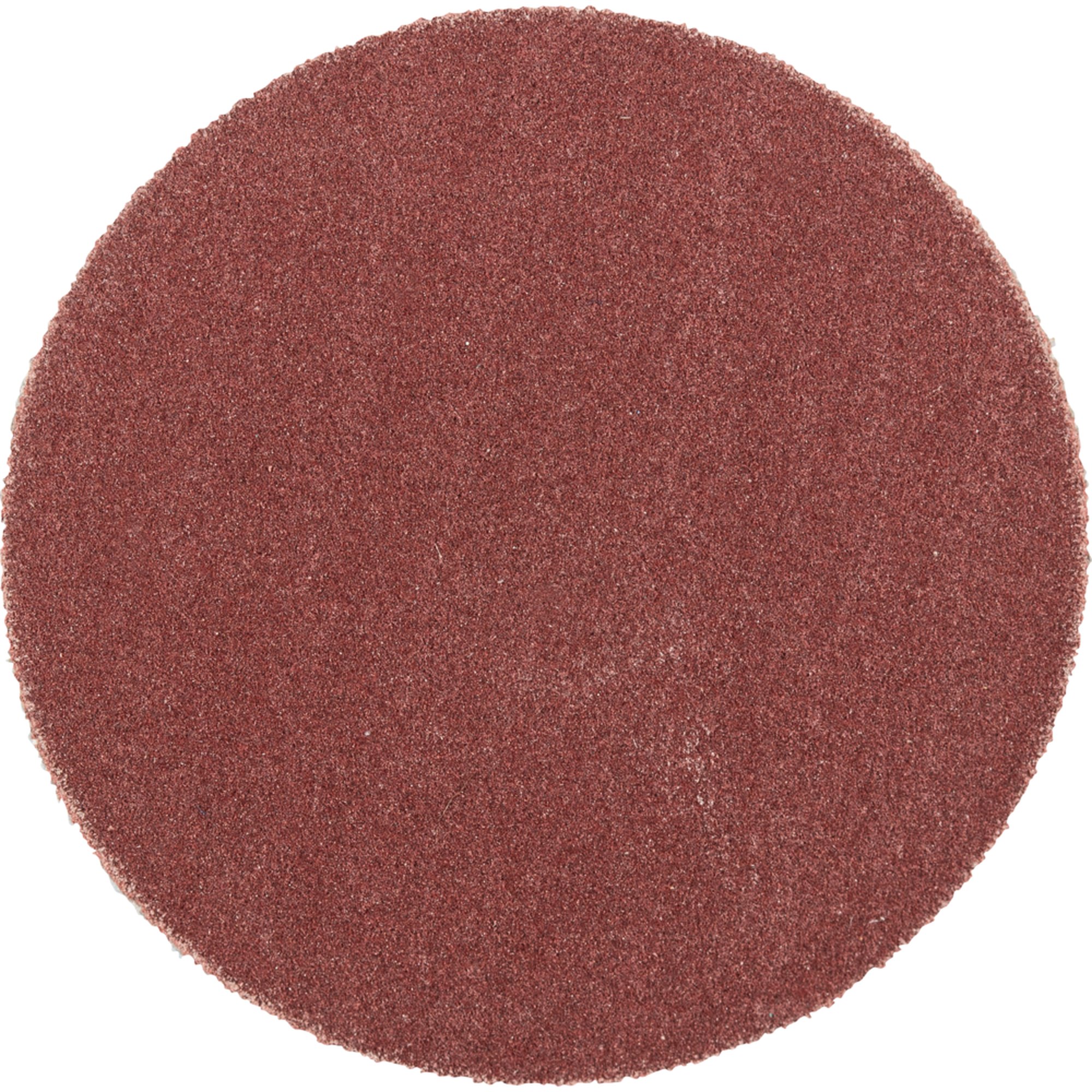 100 x Pferd Schleifscheibe Selbstklebendes Schleifblatt PSA 30 A 600