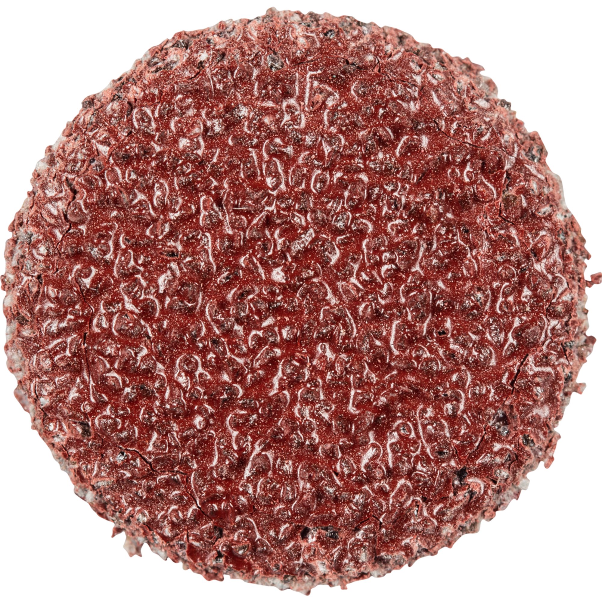 100 x Pferd Schleifscheibe Selbstklebendes Schleifblatt PSA 12 A 60