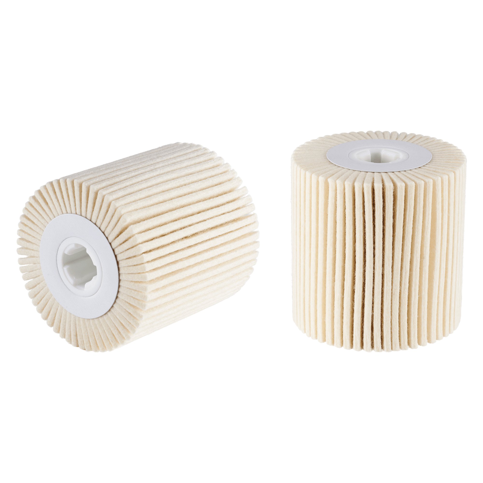 RHODIUS FilzFächerschleifer Schleifmop FW Ø 100 mm