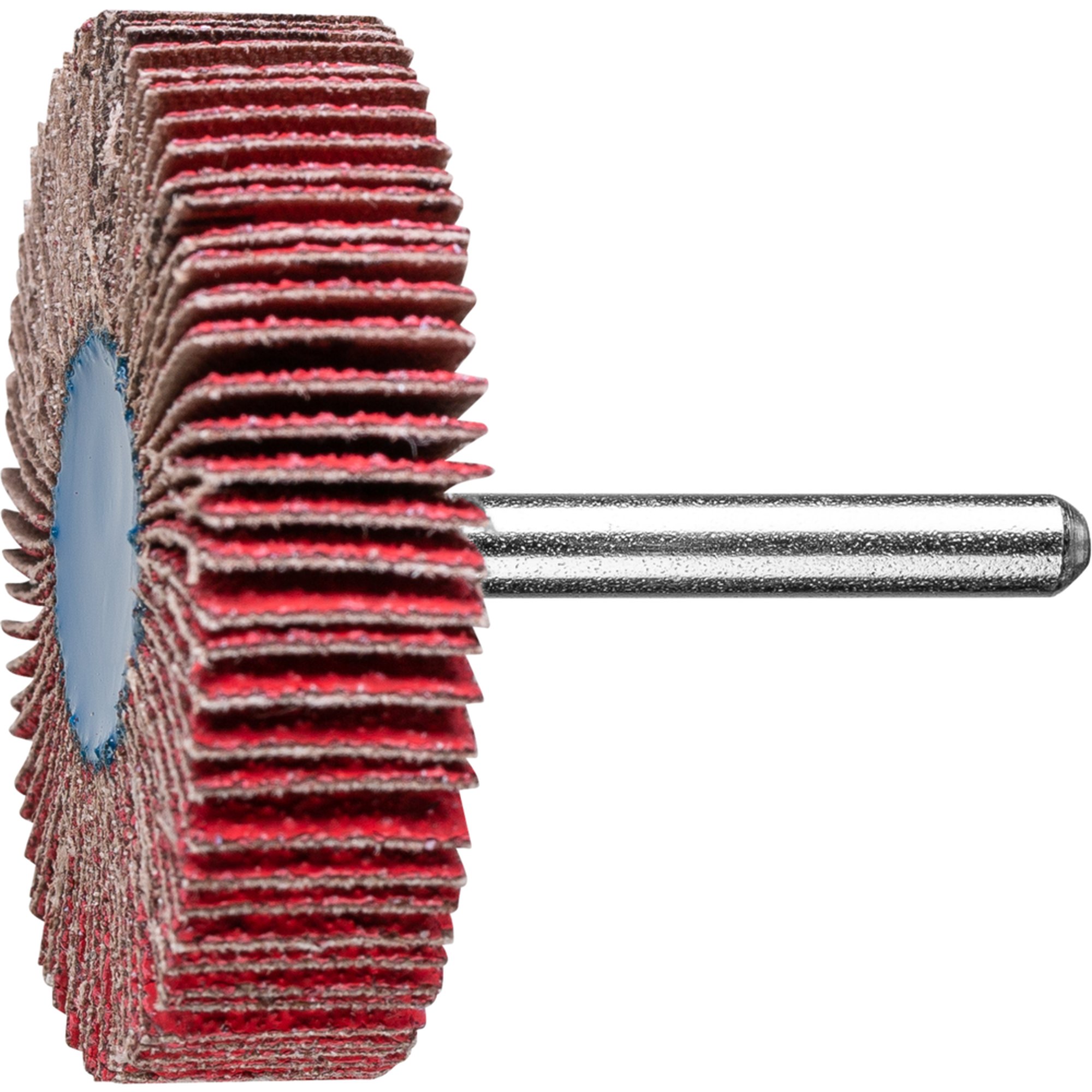 10 x PFERD Fächerschleifer F 6015/6 CO-COOL 60