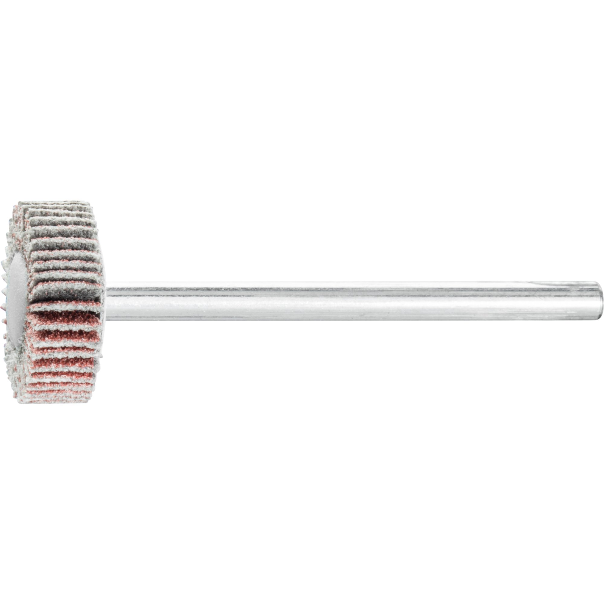 10 x PFERD Fächerschleifer F 1505/3 A 120